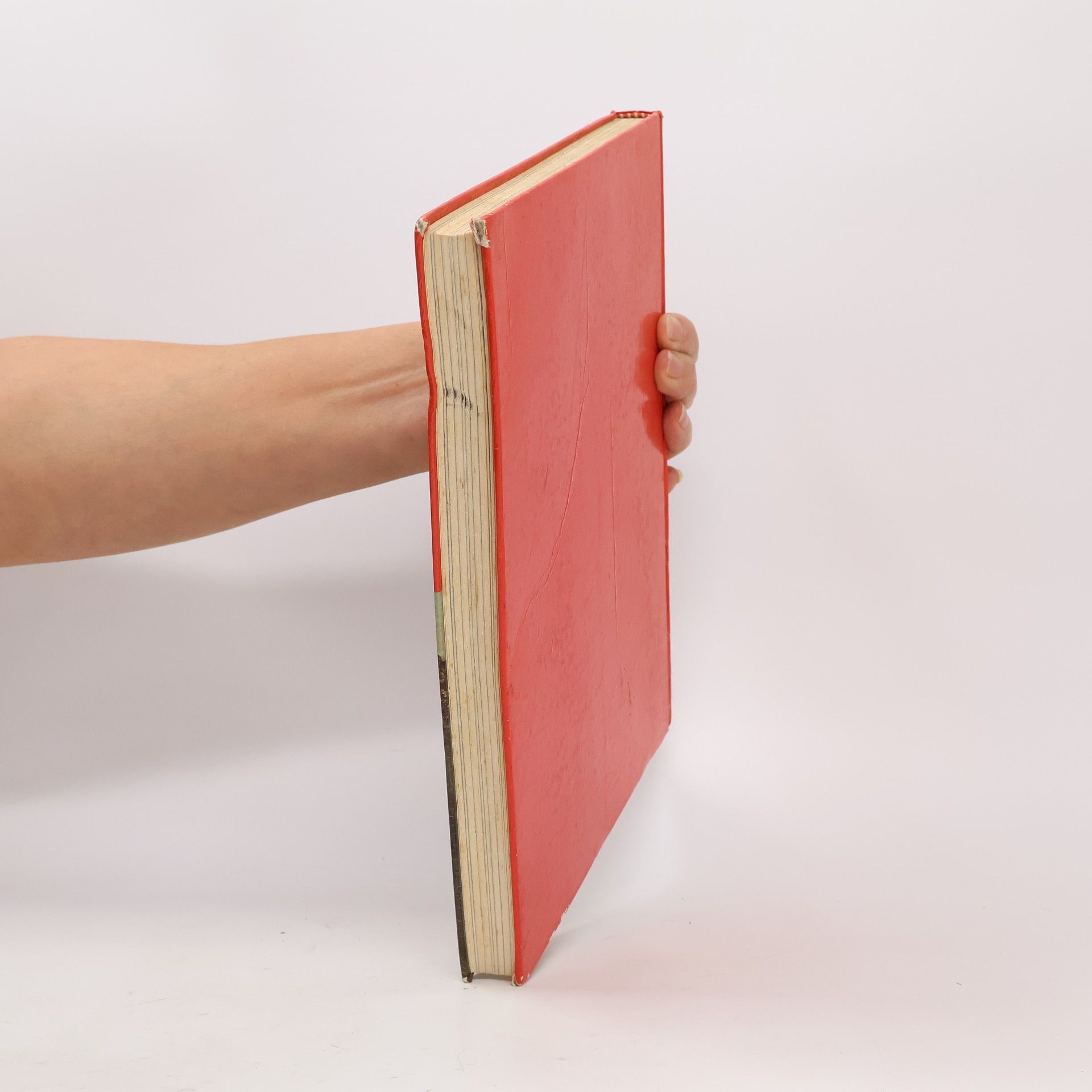 Autorenkollektiv Das große Weihnachtsbuch