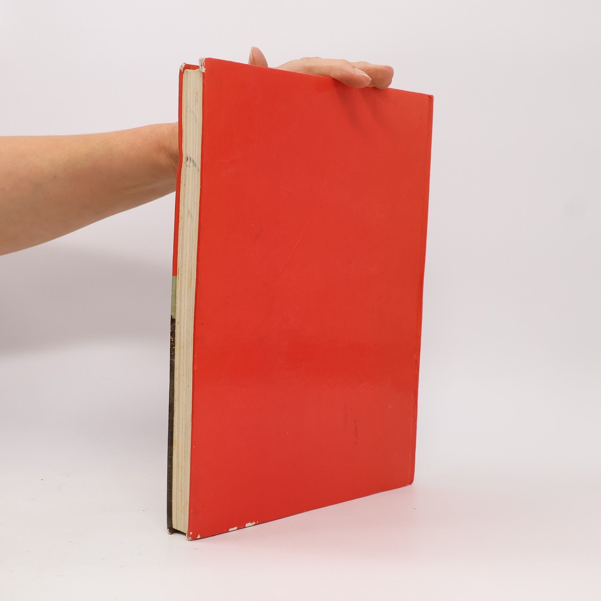 Autorenkollektiv Das große Weihnachtsbuch