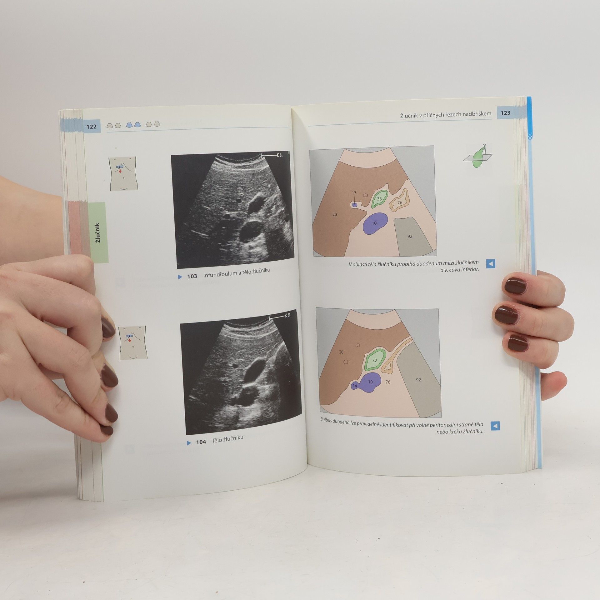 Berthold Block Průvodce sonografií. Kapesní atlas