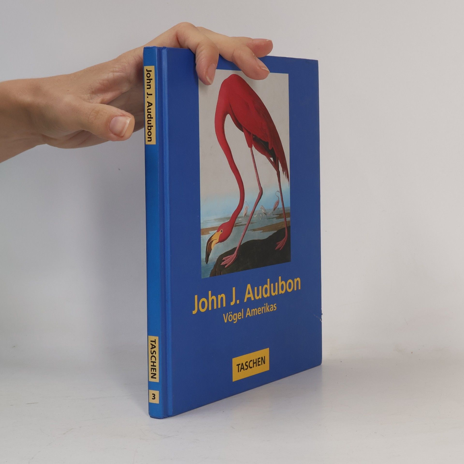 John James Audubon John James Audubons Vögel Amerikas
