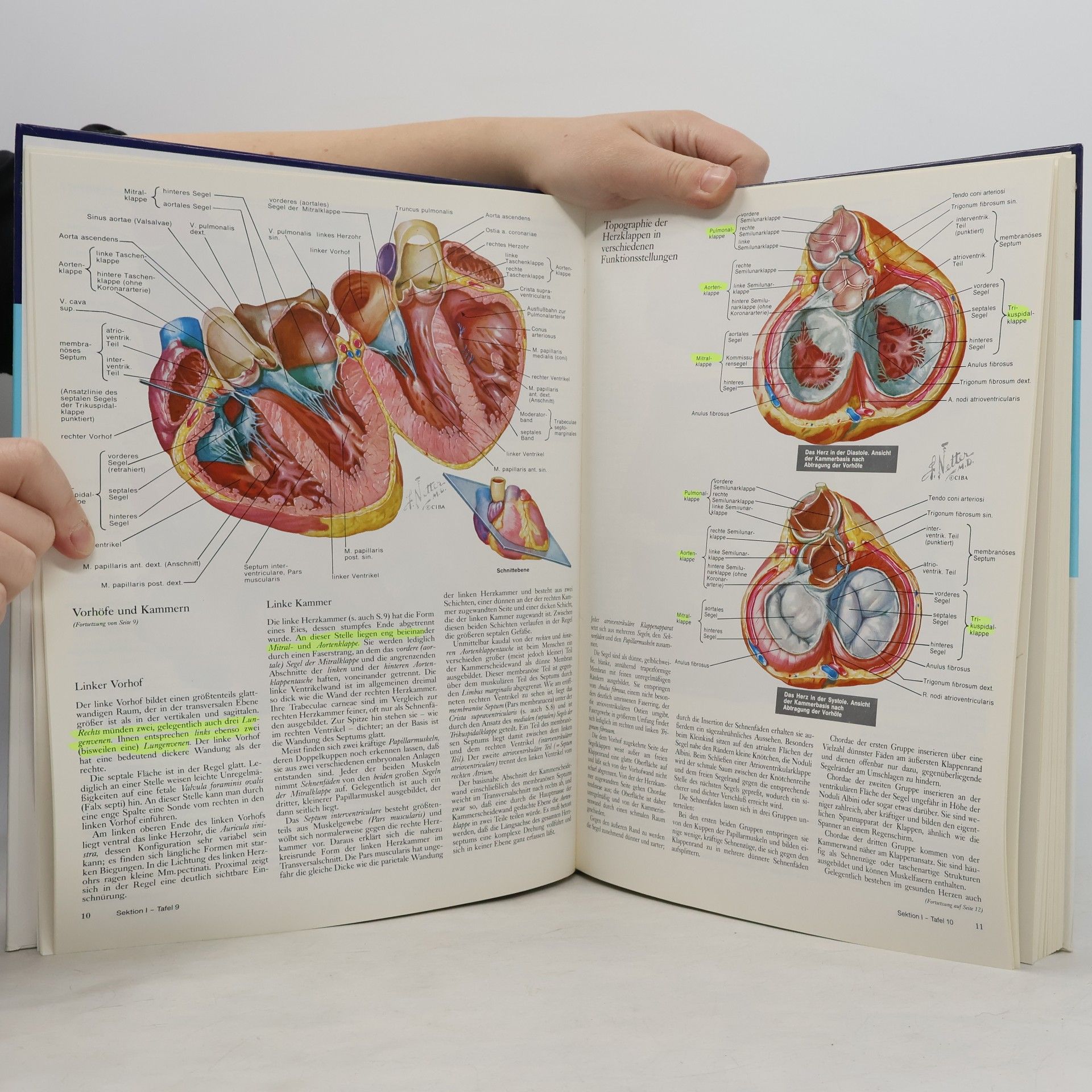 Frank Netter Farbatlanten der Medizin: The Ciba Collection of Medical Illustrations