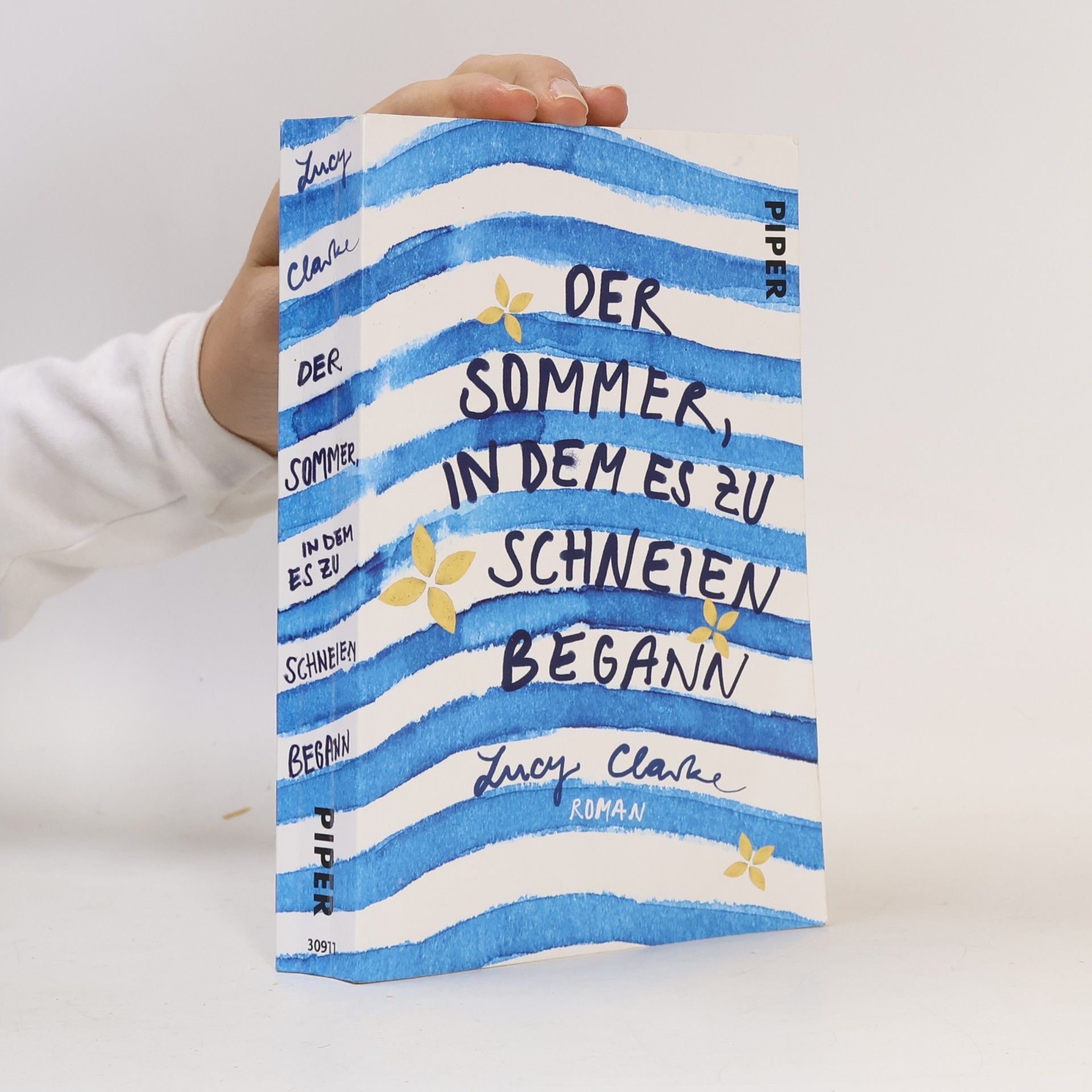 Lucy Clarke Der Sommer, in dem es zu schneien begann