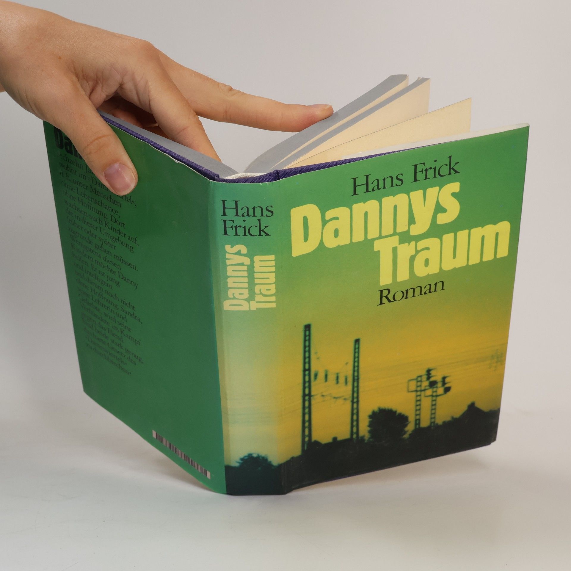 Hans Frick Dannys Traum