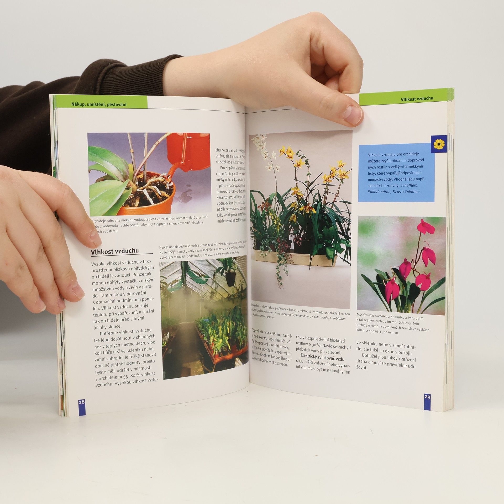 Jörn Pinske Orchideje. Nejkrásnější druhy a hybridy. Výběr, pěstování
