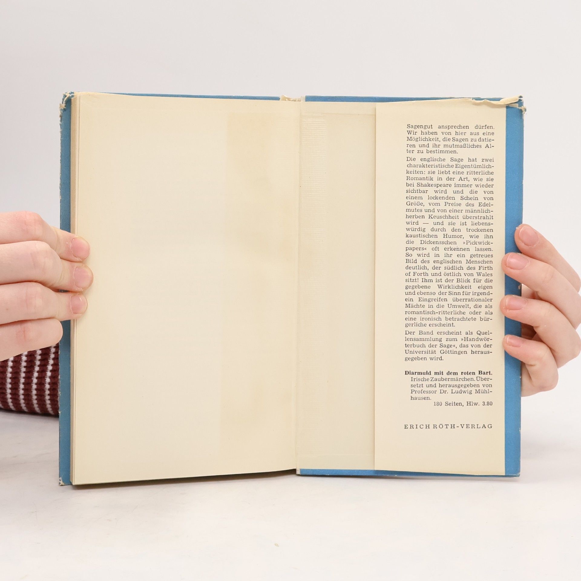 Autorenkollektiv Dildrum Katzenkönig