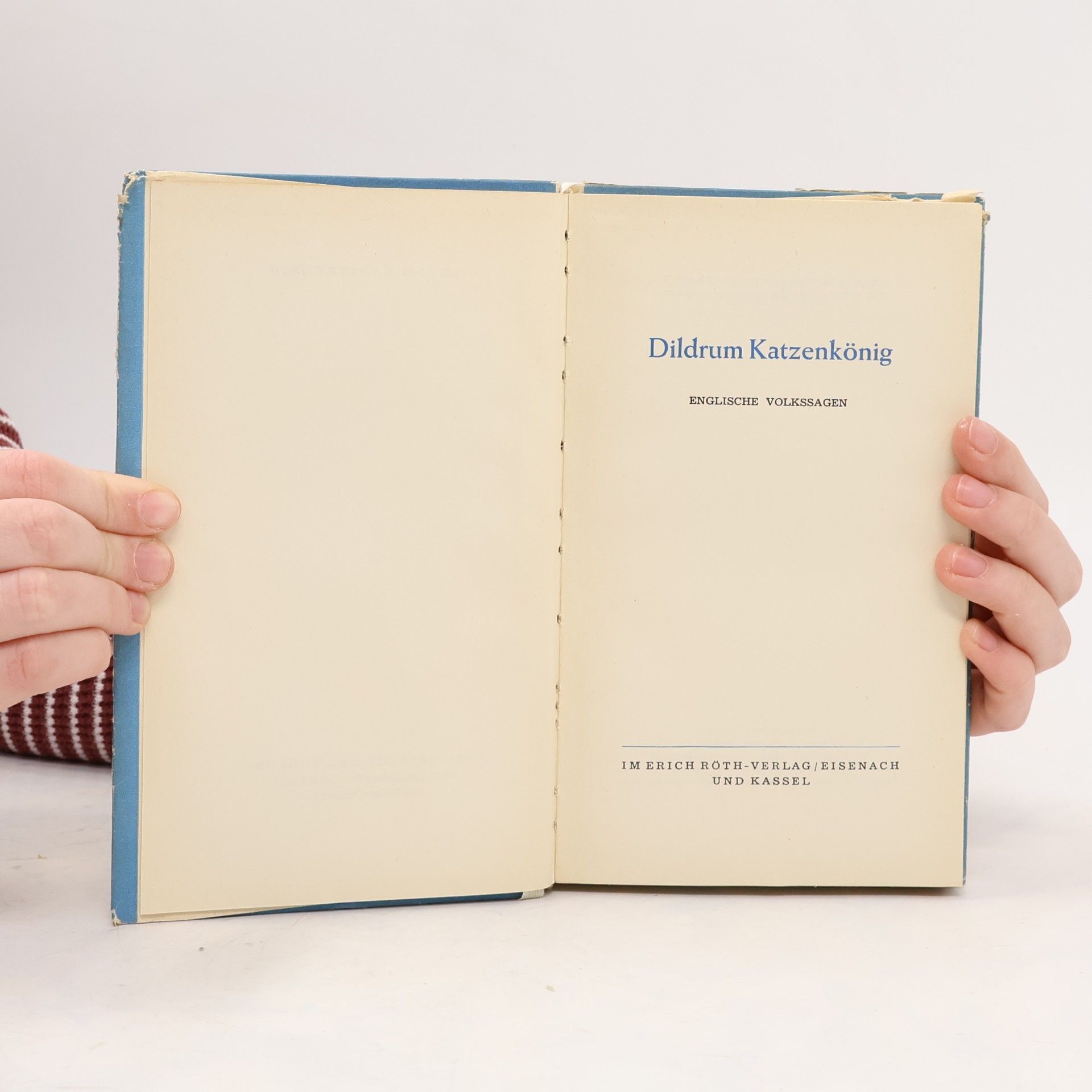 Autorenkollektiv Dildrum Katzenkönig
