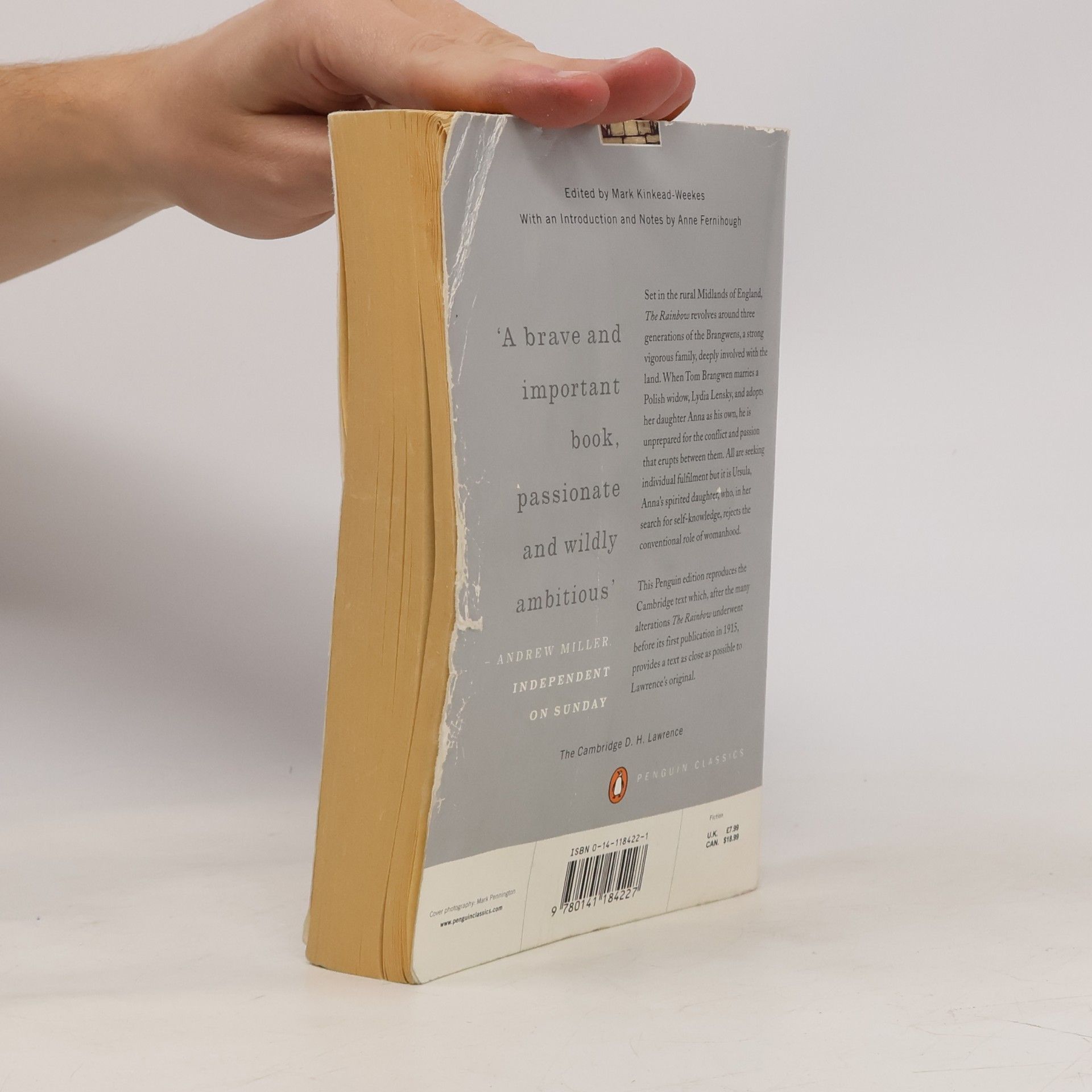 David Herbert Lawrence Penguin Classics: The Rainbow