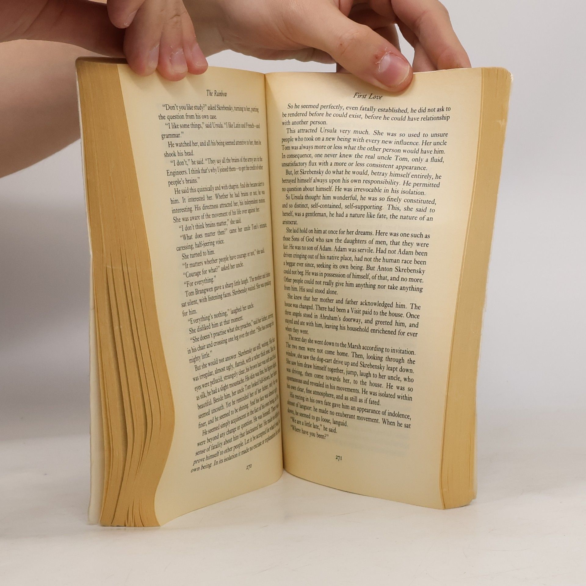 David Herbert Lawrence Penguin Classics: The Rainbow