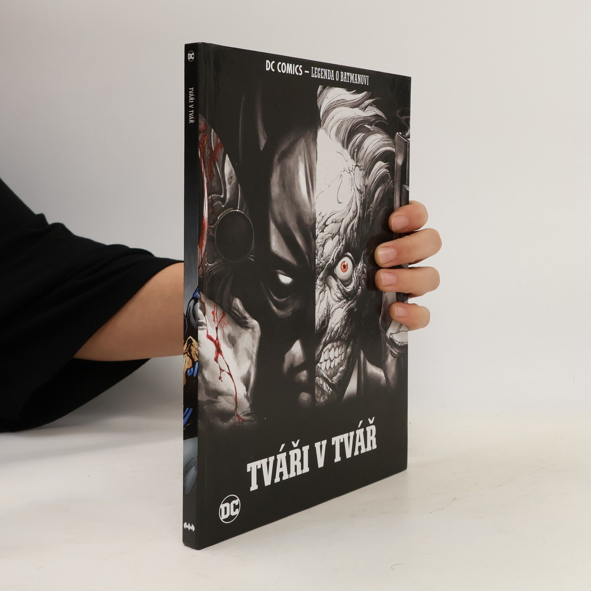 Autorenkollektiv Tváři v tvář