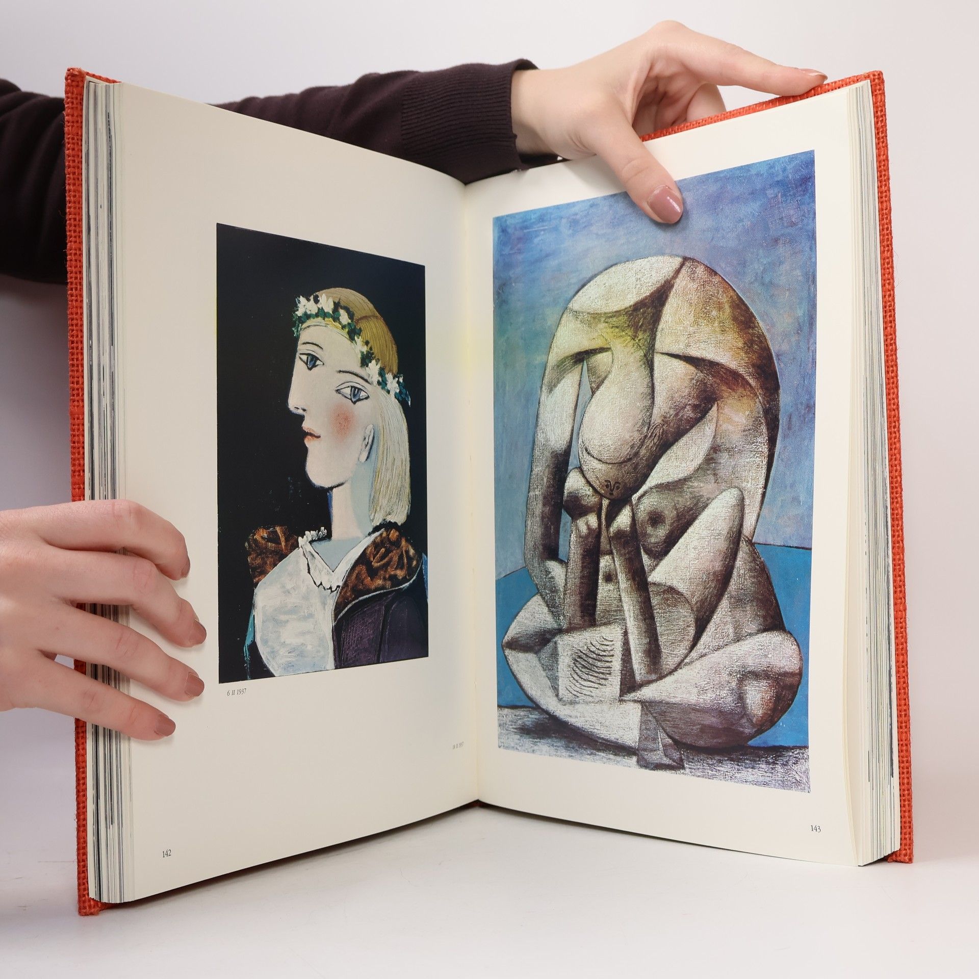 David Duncan Douglas Adieu Picasso