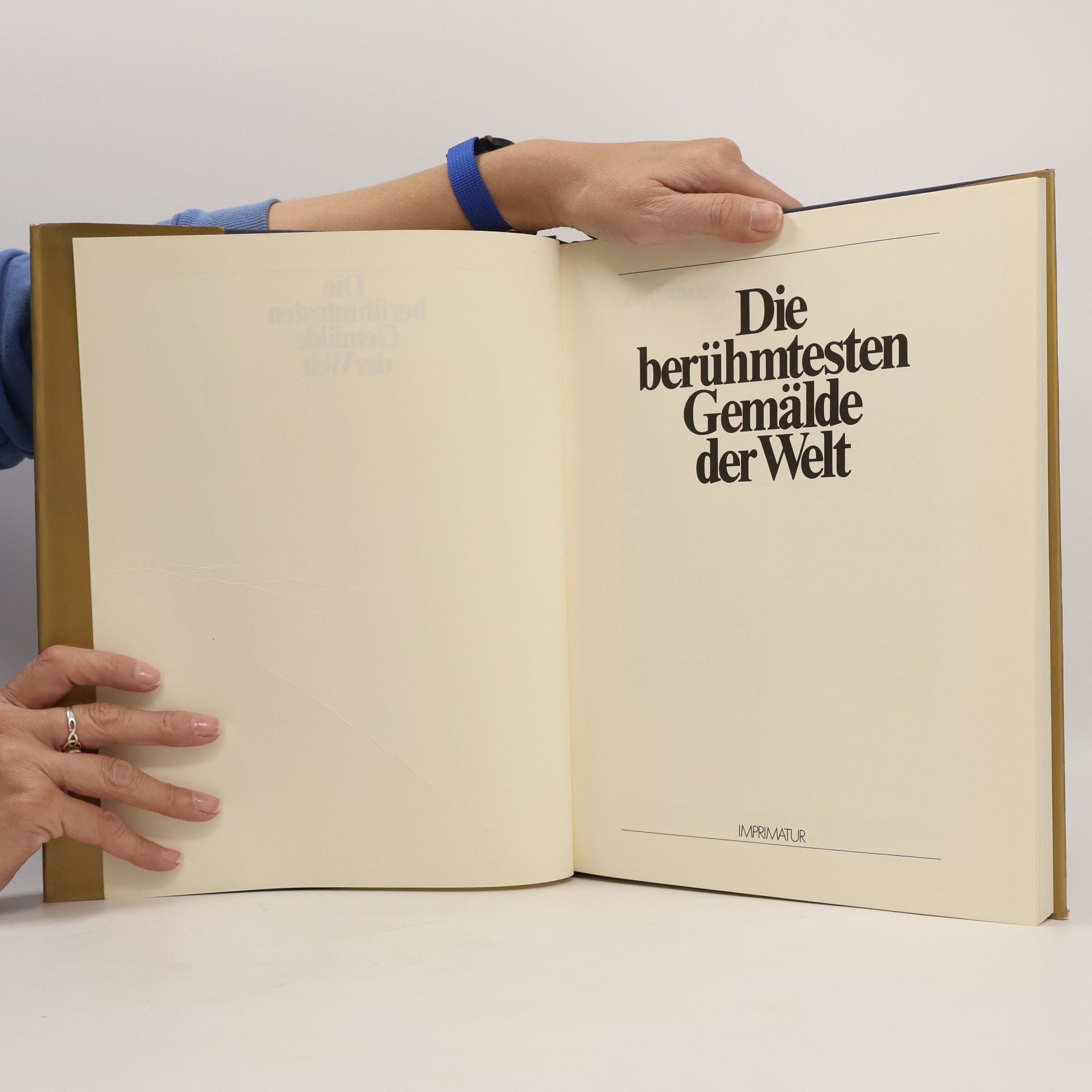 Auteurscollectief Die berühmtesten Gemälde der Welt