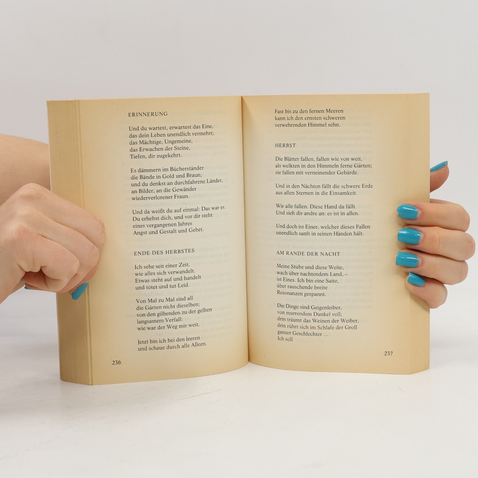 Rainer Maria Rilke Sämtliche Werke 1