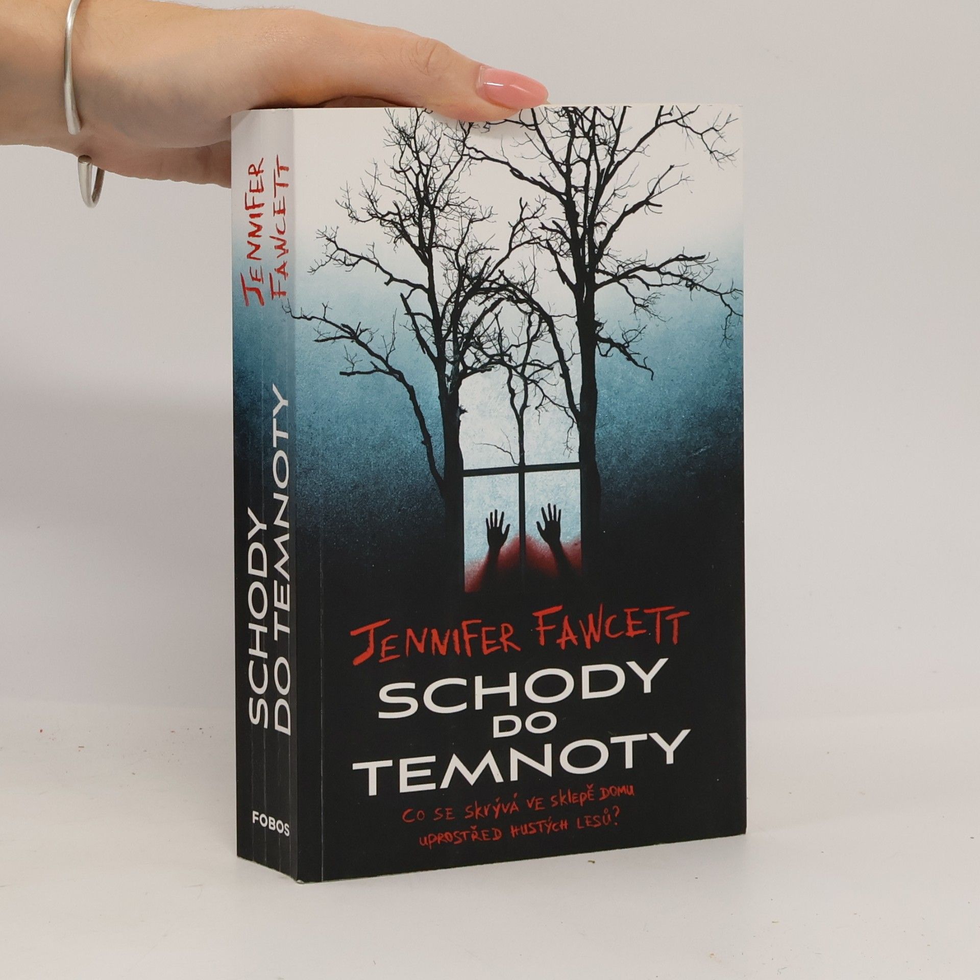Lucie Jiránková Schody do temnoty