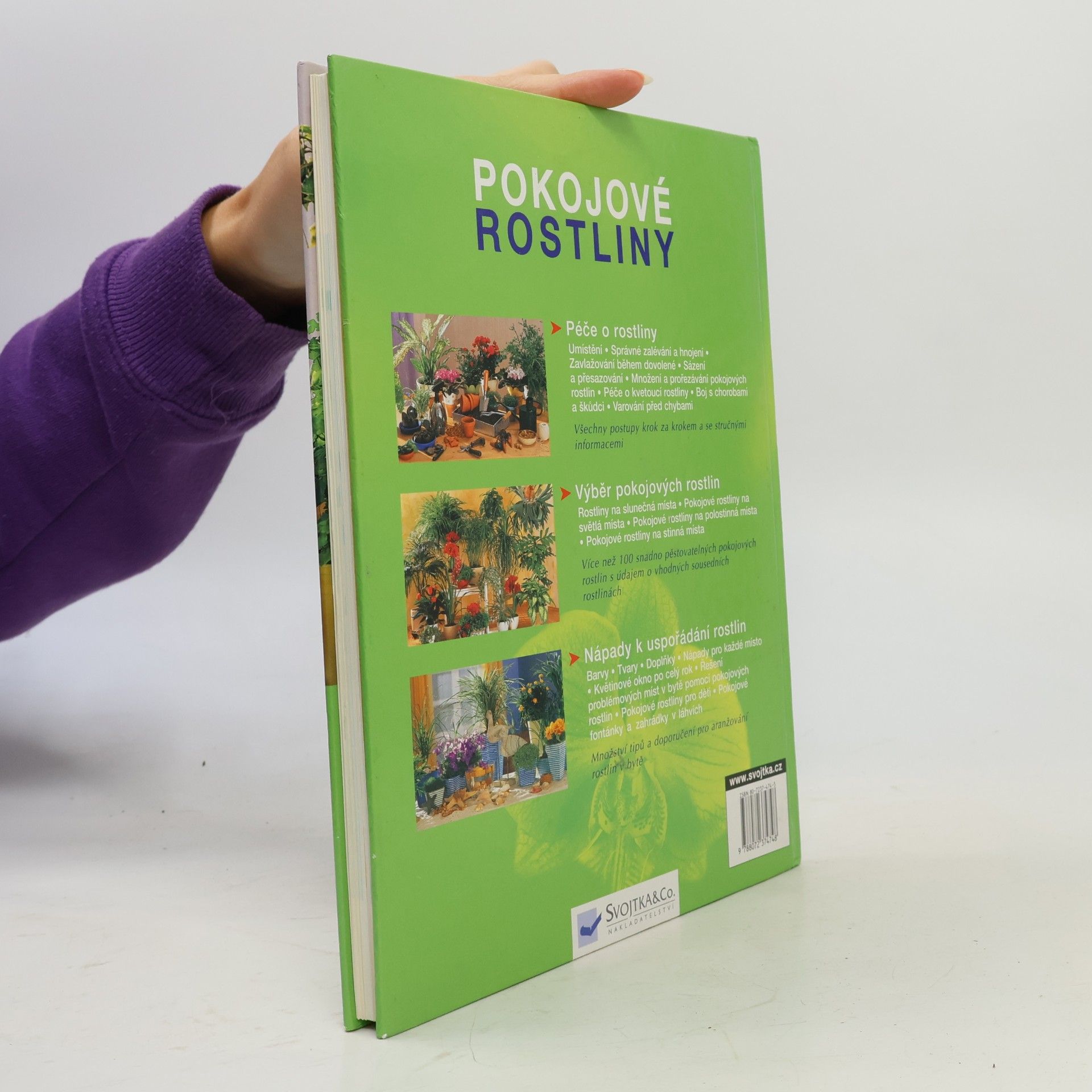 Anja Flehming Pokojové rostliny