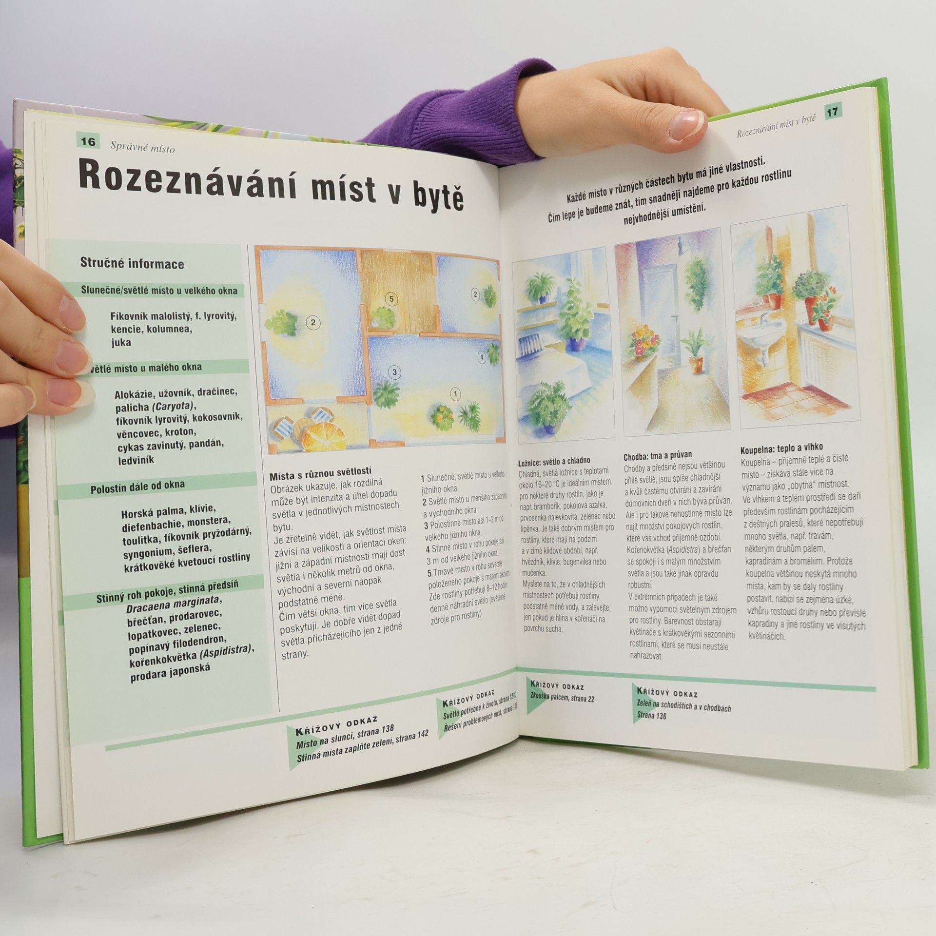 Anja Flehming Pokojové rostliny