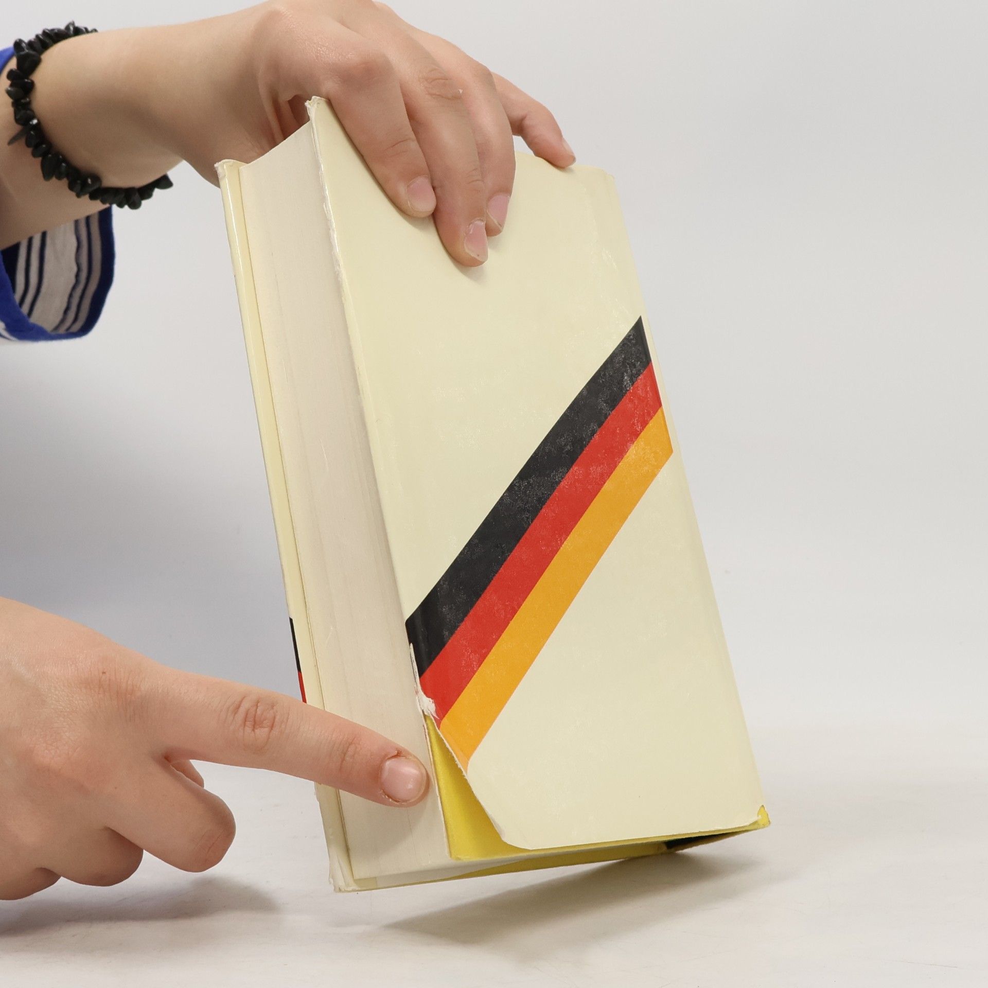 Alfred Grosser Deutschlandbilanz