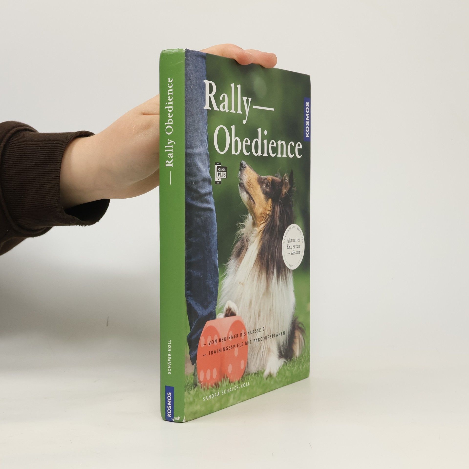 Rally Obedience