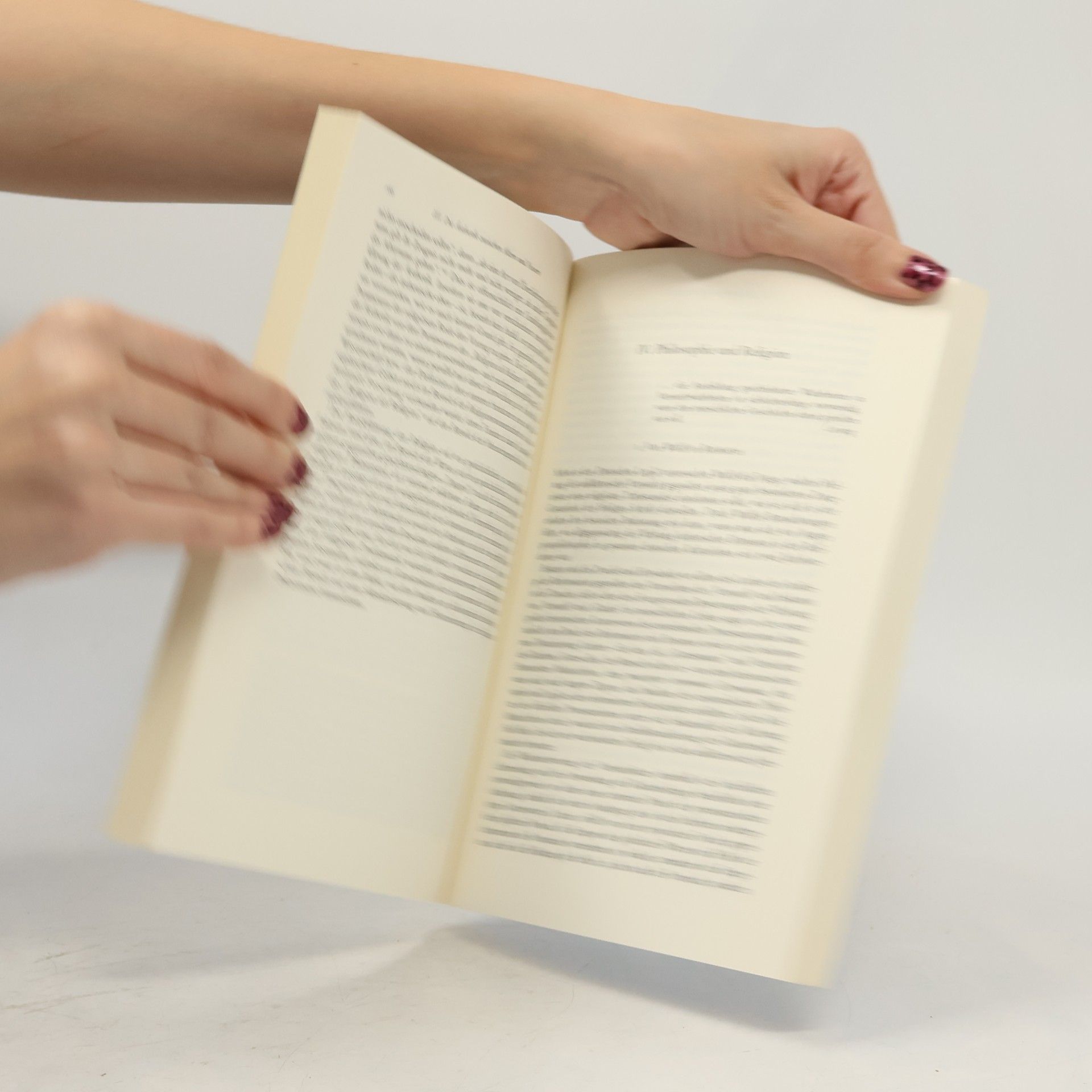 Nicolao Merker Beck'sche Elementarbücher: Die Aufklärung in Deutschland