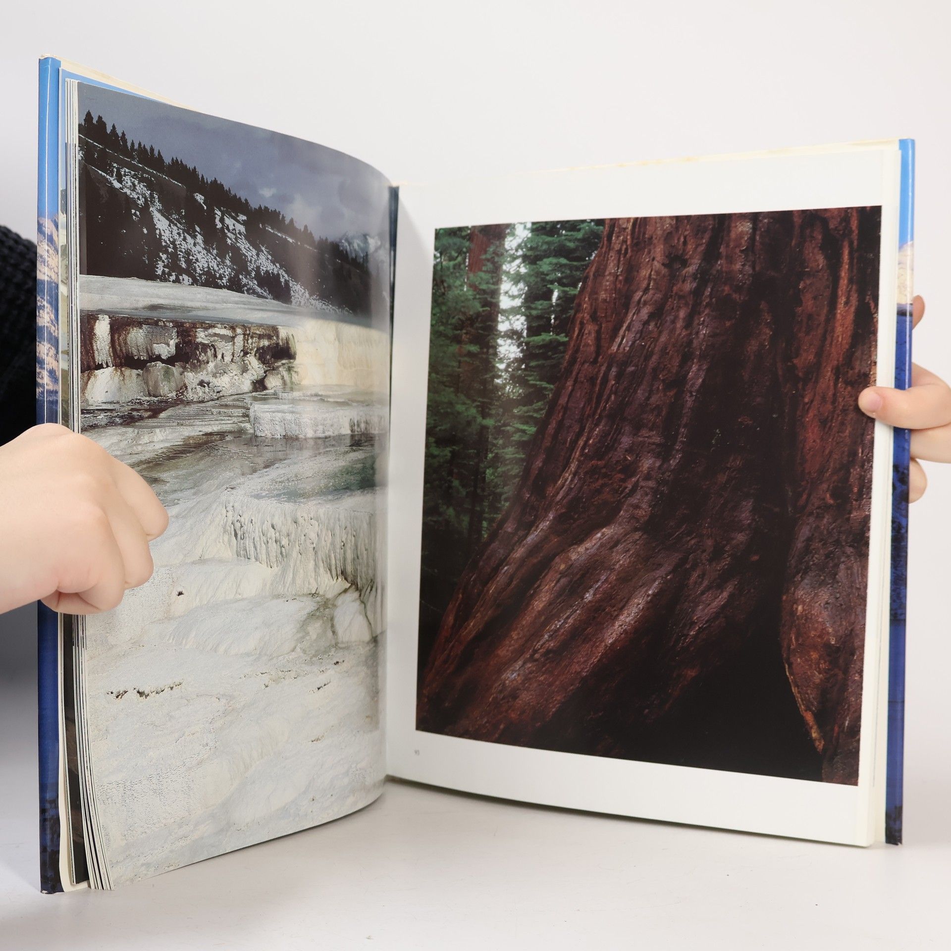 Takashi Iwahashi Skalnaté hory = Rocky Mountains
