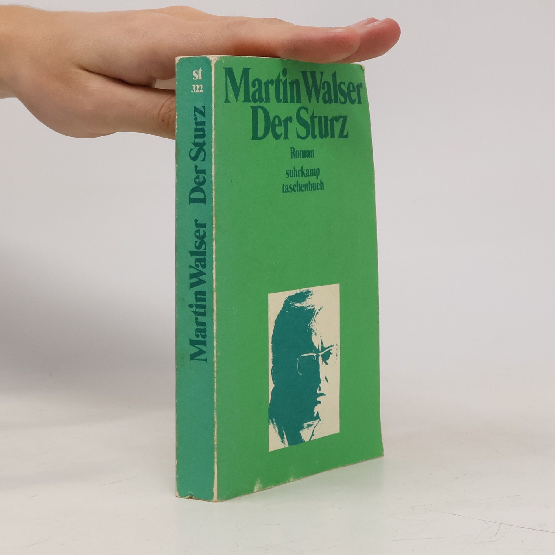 Der Sturz