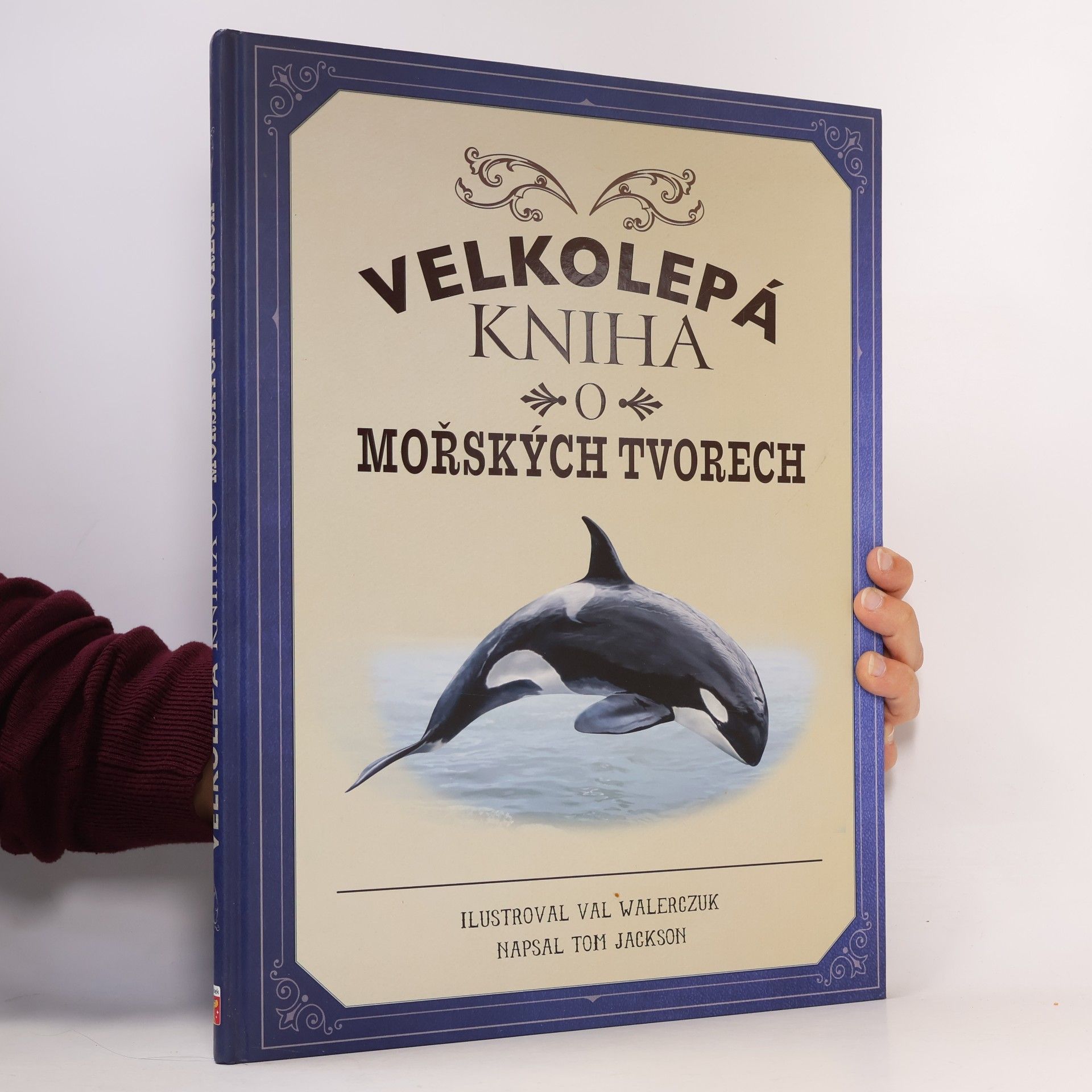 Jackson Tom Velkolepá kniha o mořských tvorech