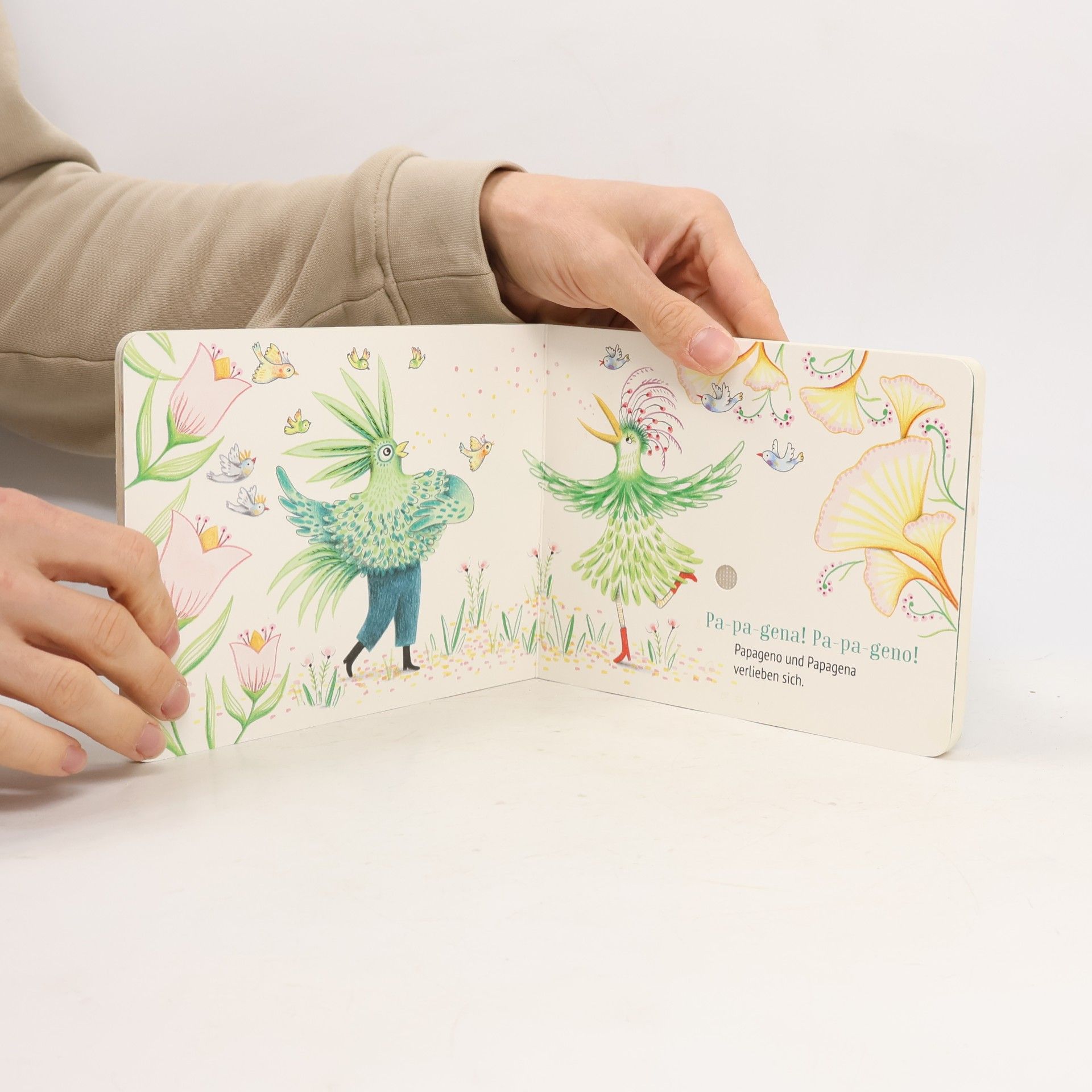 Delphine Renon Ich entdecke Die Zauberflöte - Pappbilderbuch mit Sound (Mein kleines Klangbuch)
