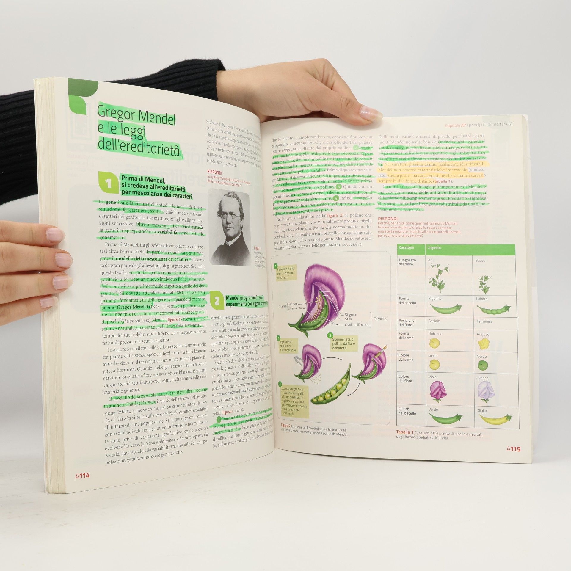 Sylvia S. Mader Immagini e concetti della biologia