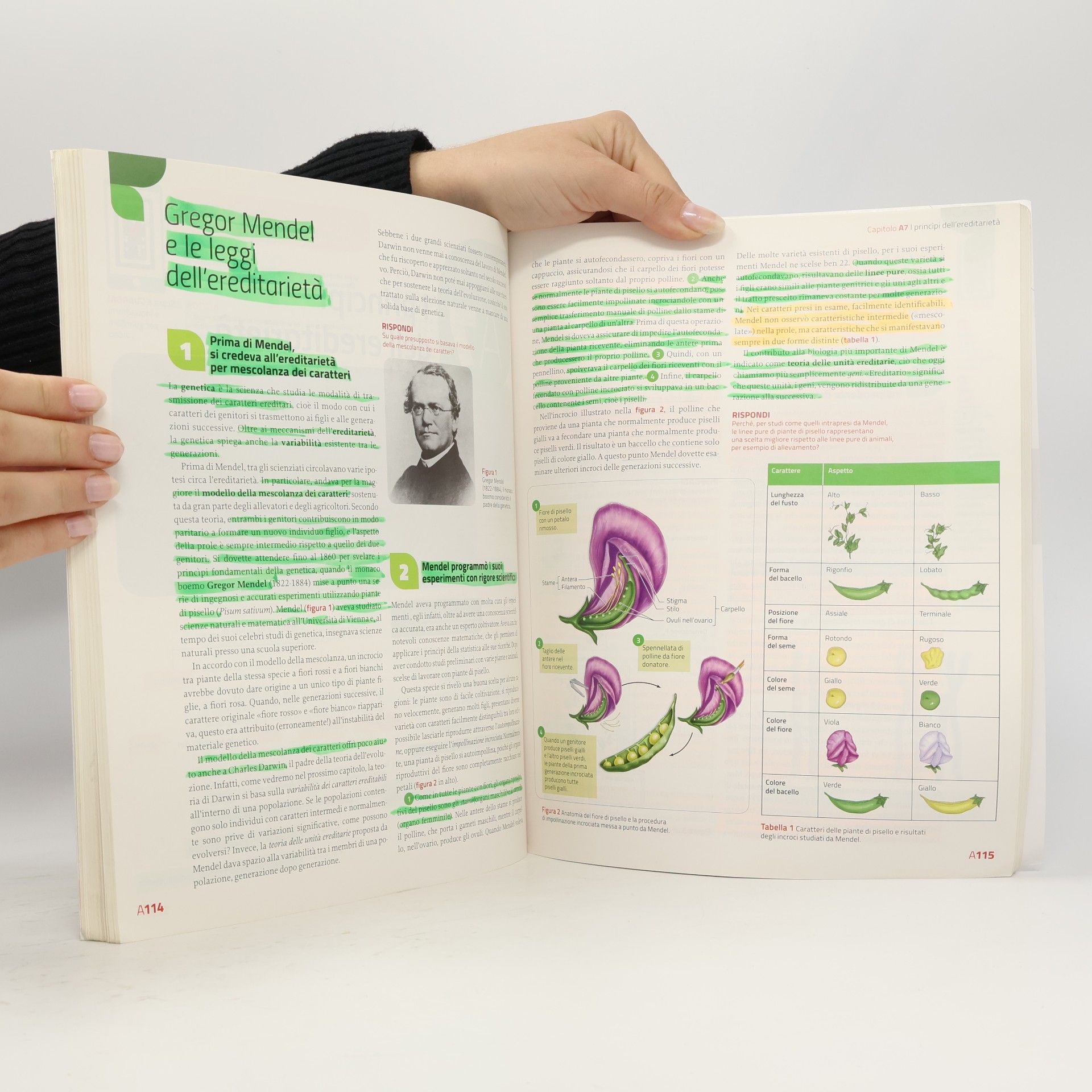 Sylvia S. Mader Immagini e concetti della biologia
