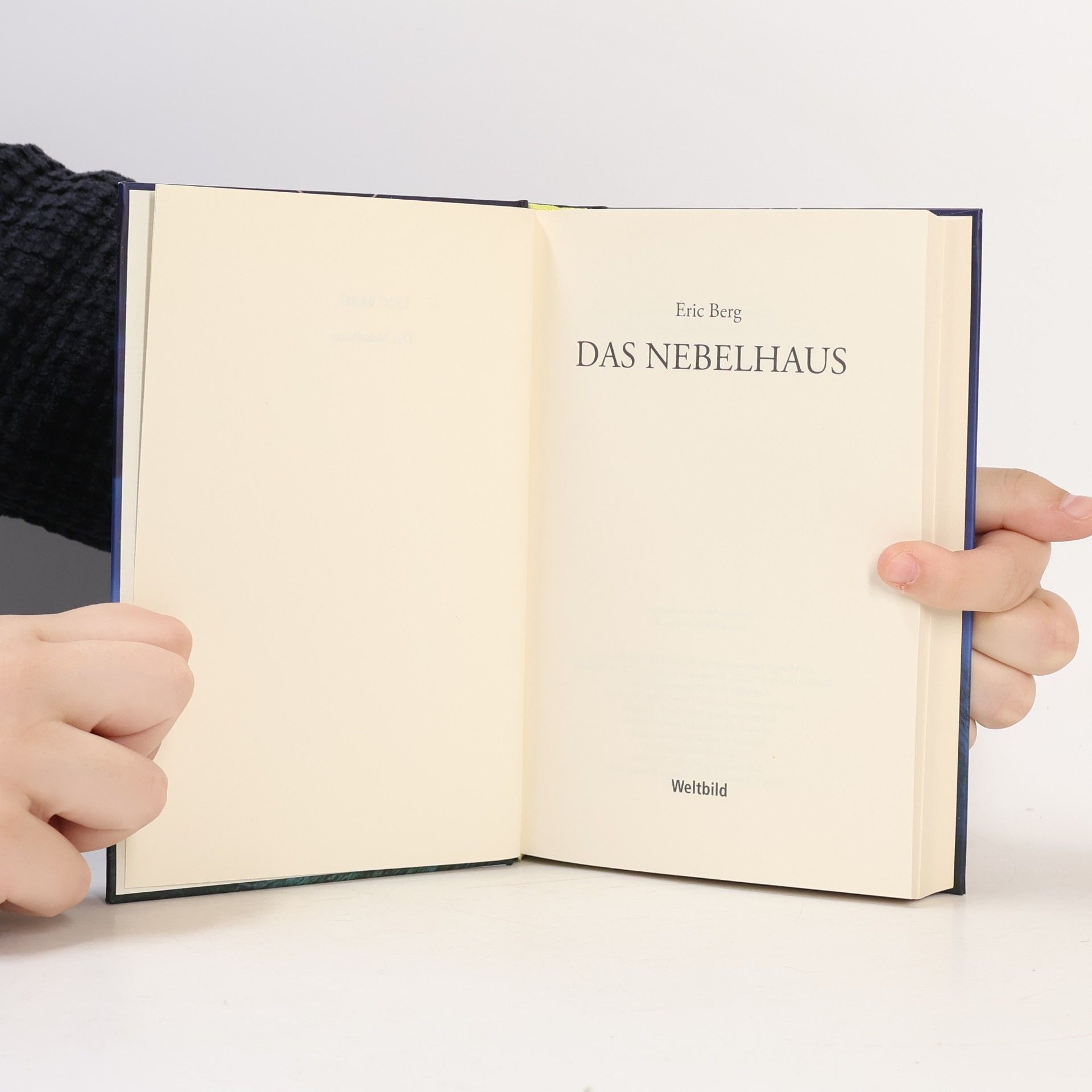 Jan-Eric Berger Das Nebelhaus