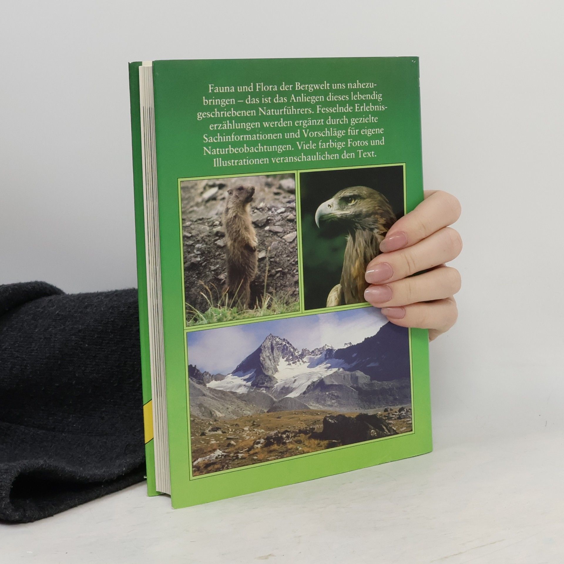 Wolfgang Steinborn Loewes Naturführer. Im Gebirge