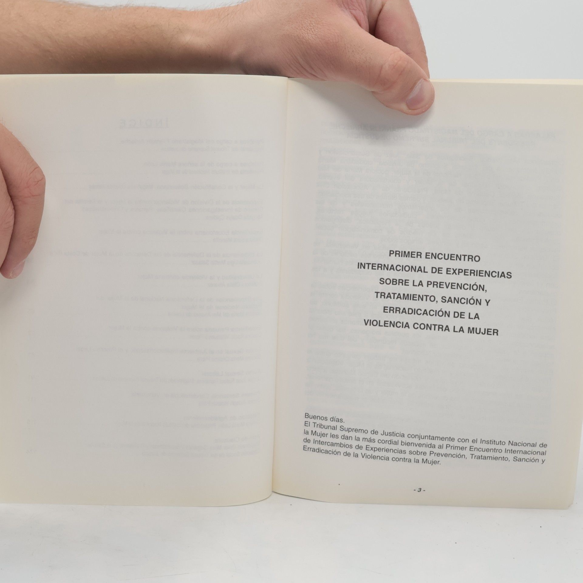 Various authors Primer Encuentro Internacional de Experiencias sobre la Prevención, Tratamiento, Sanción y Erradicación de la Violencia contra la Mujer