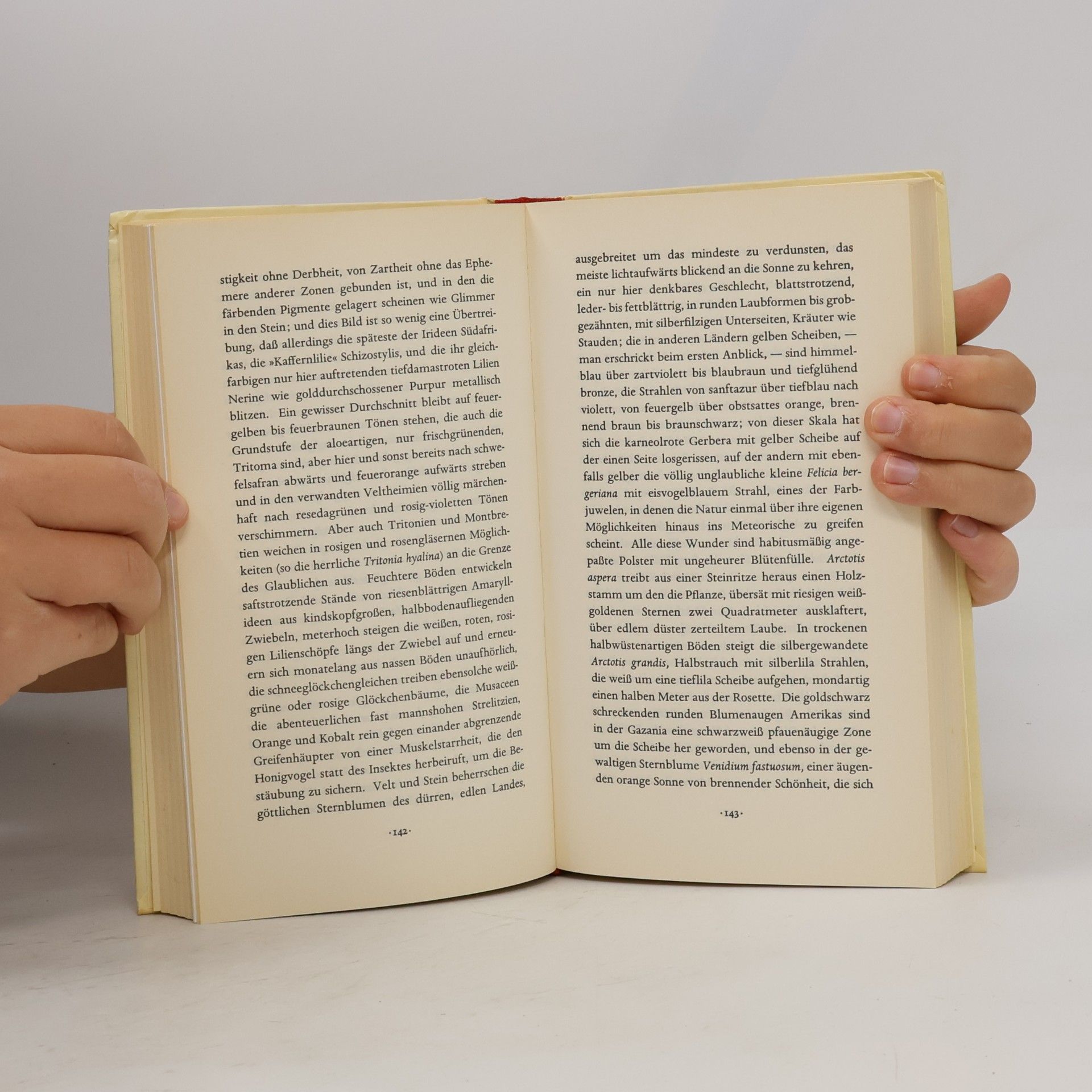 Rudolf Borchardt Der leidenschaftliche Gärtner