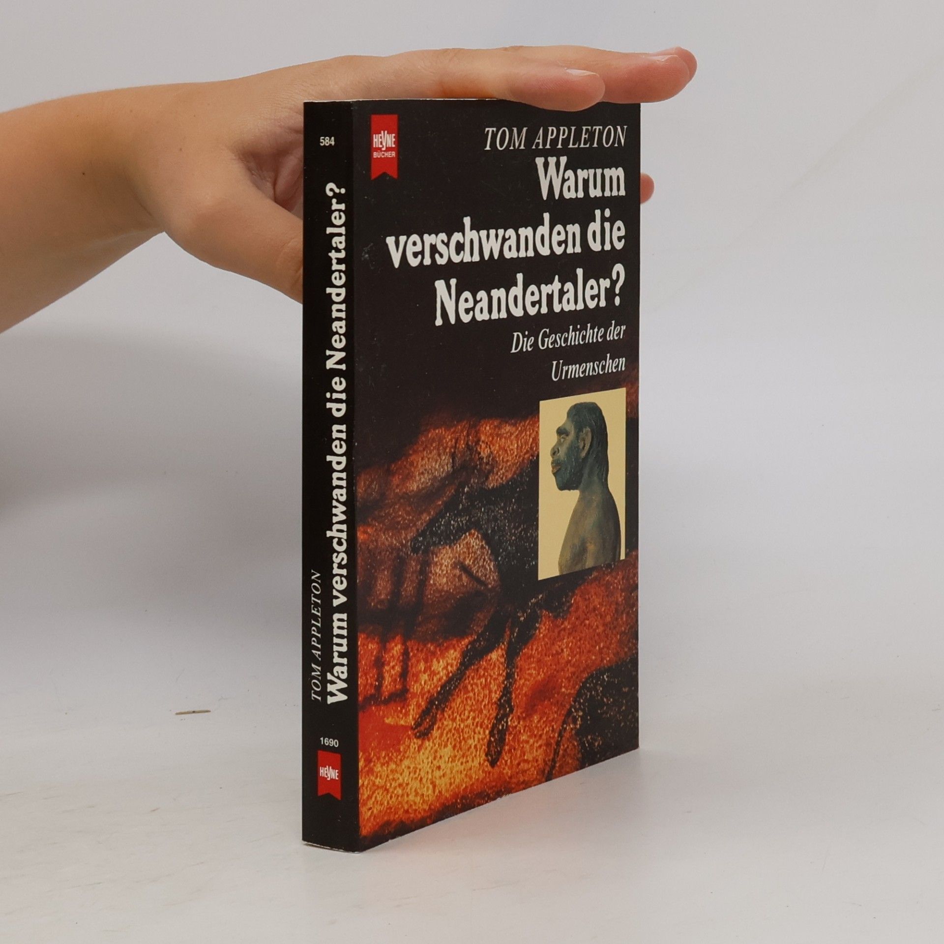 Warum verschwanden die Neandertaler?