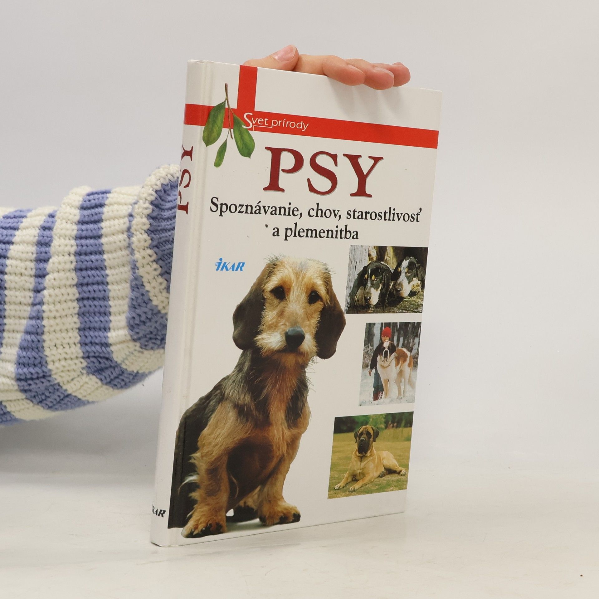 Psy