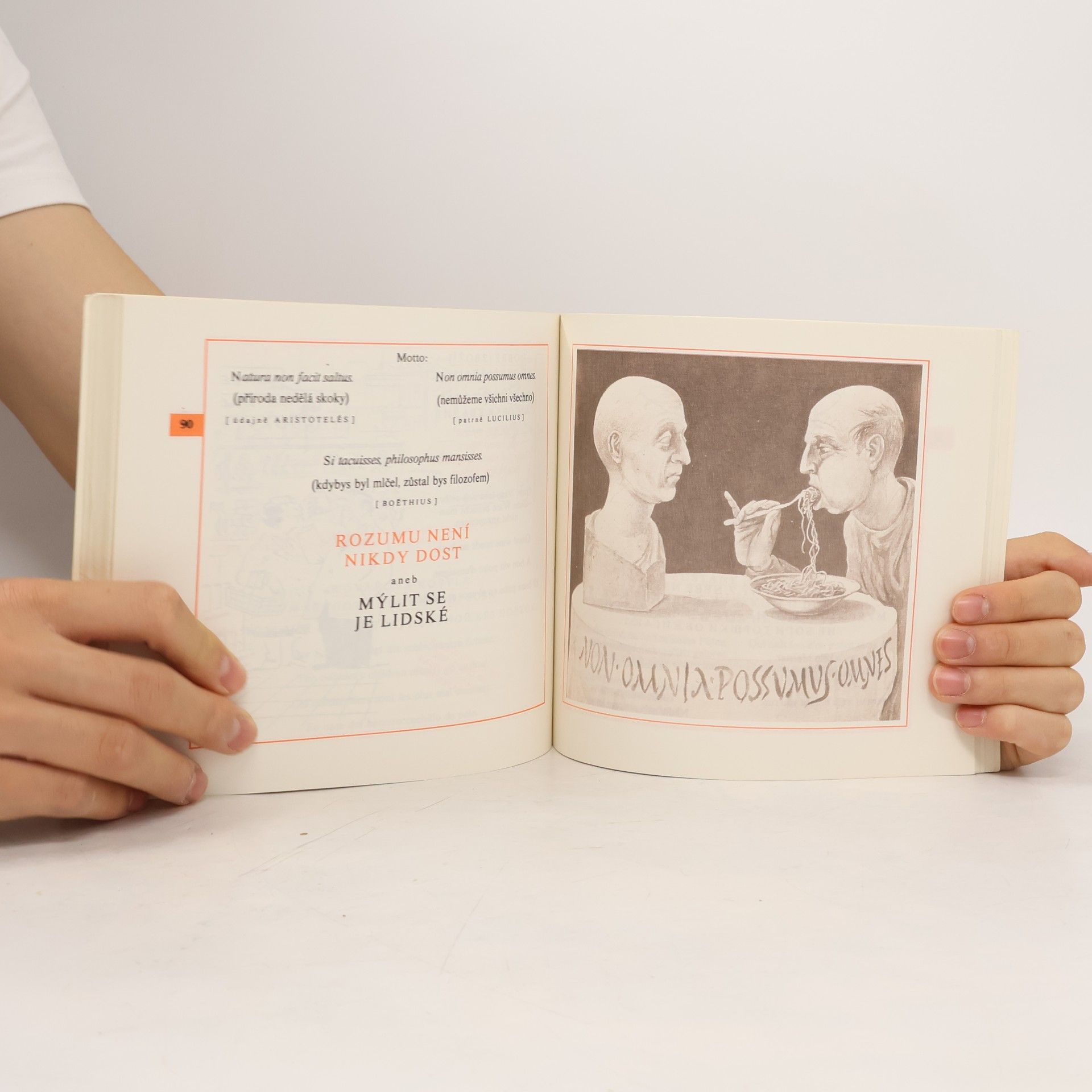 Various authors 100 ilustrovaných přísloví