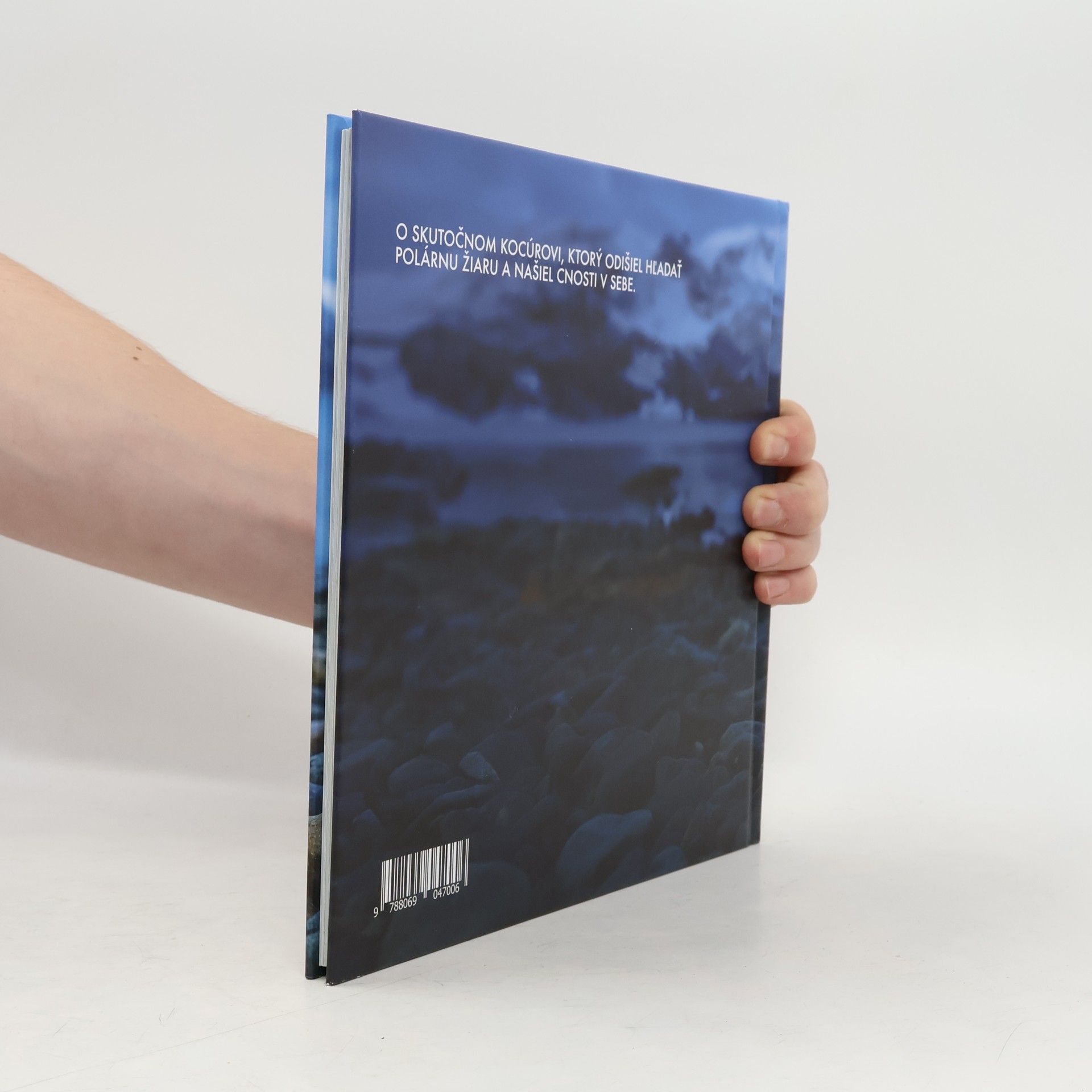 Autorenkollektiv Kocúr v svetri a jeho cesta za polárnou žiarou