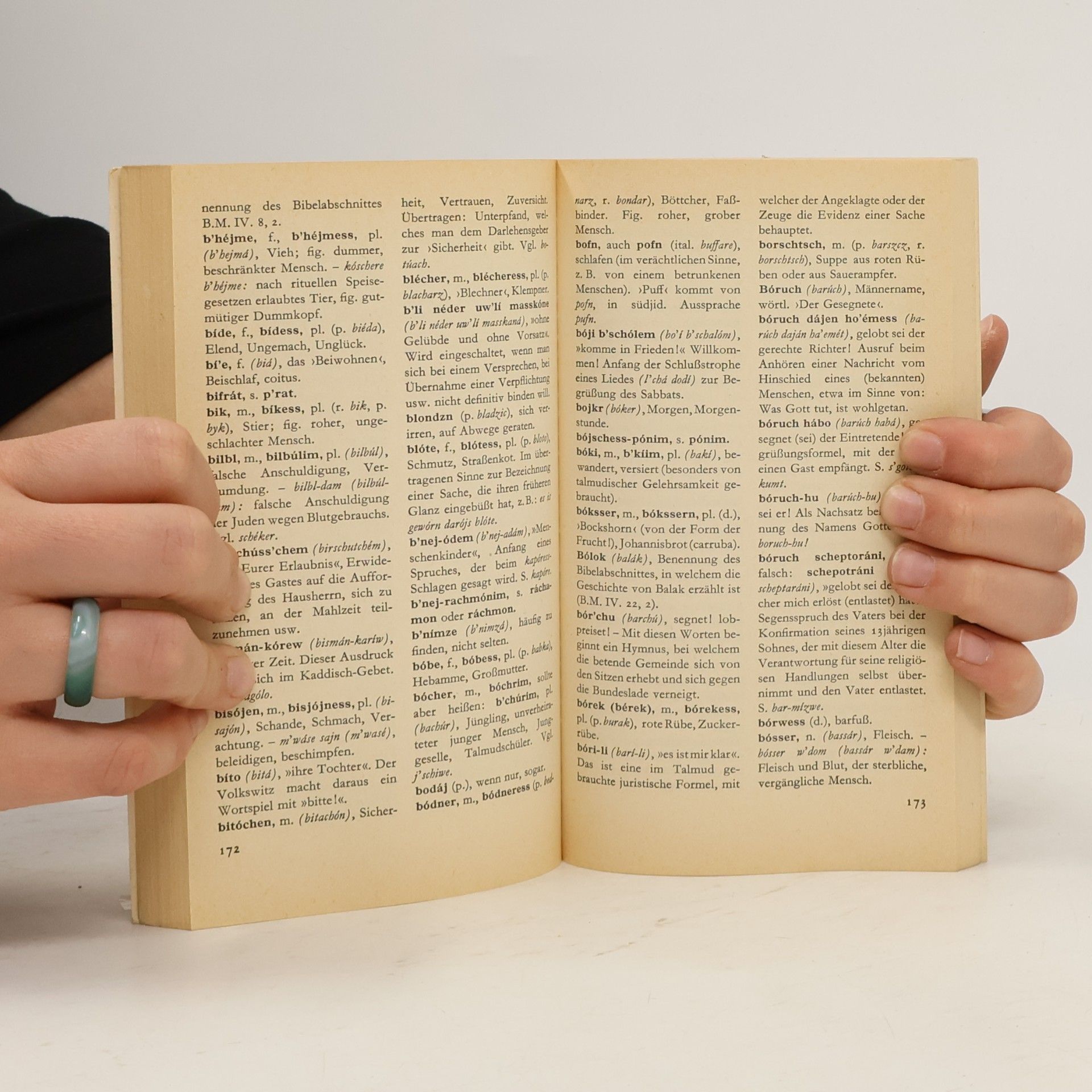 Salcia Landmann Jiddisch. Abenteur einer Sprache