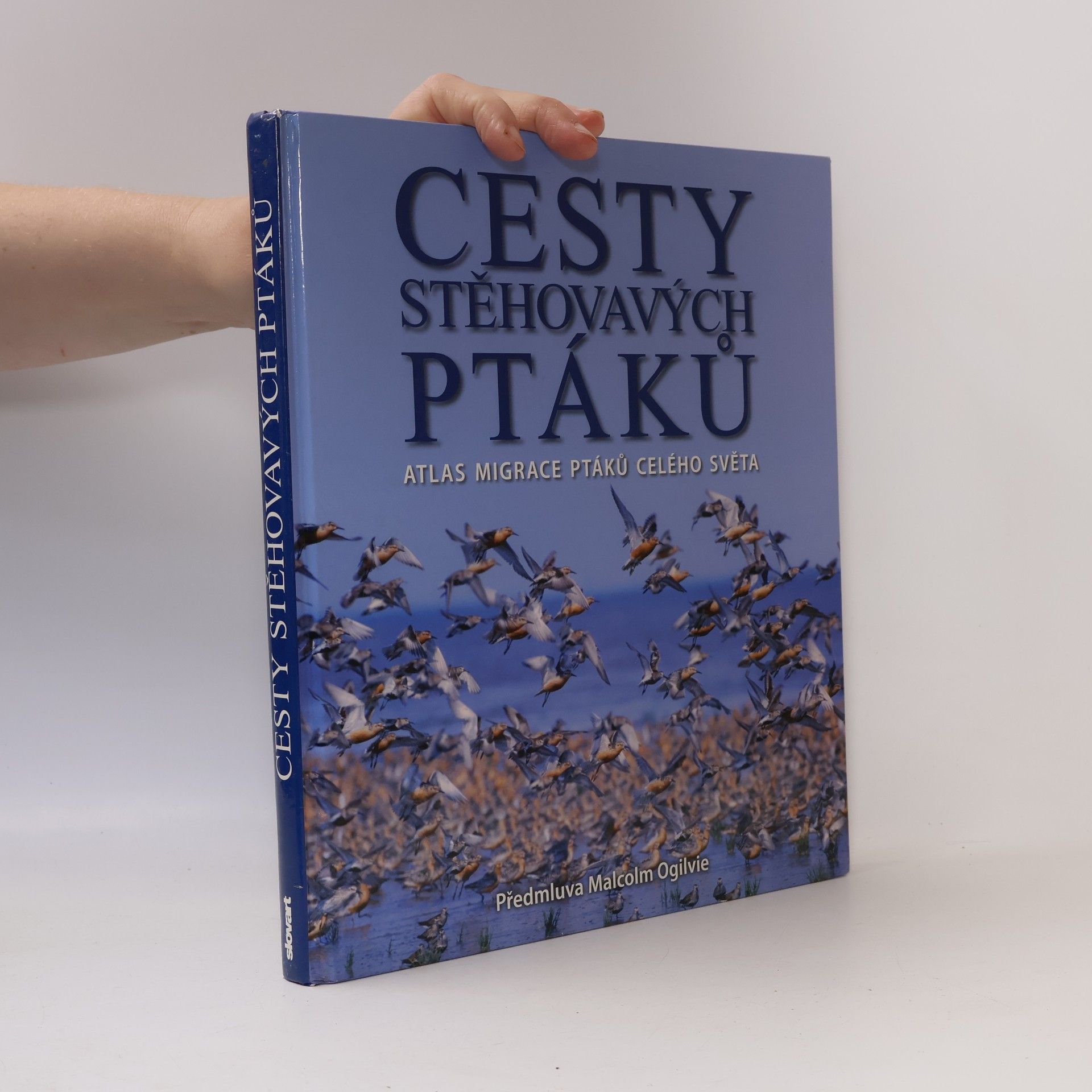 Cesty stěhovavých ptáků