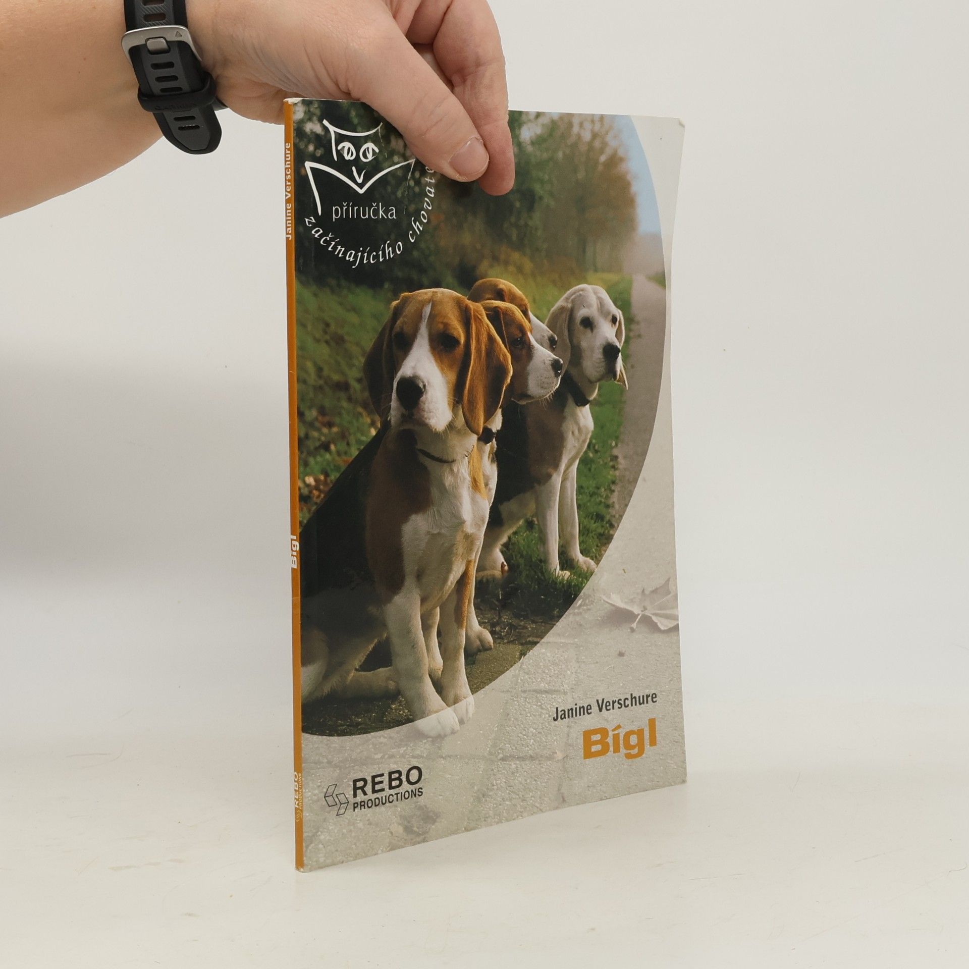 Bígl