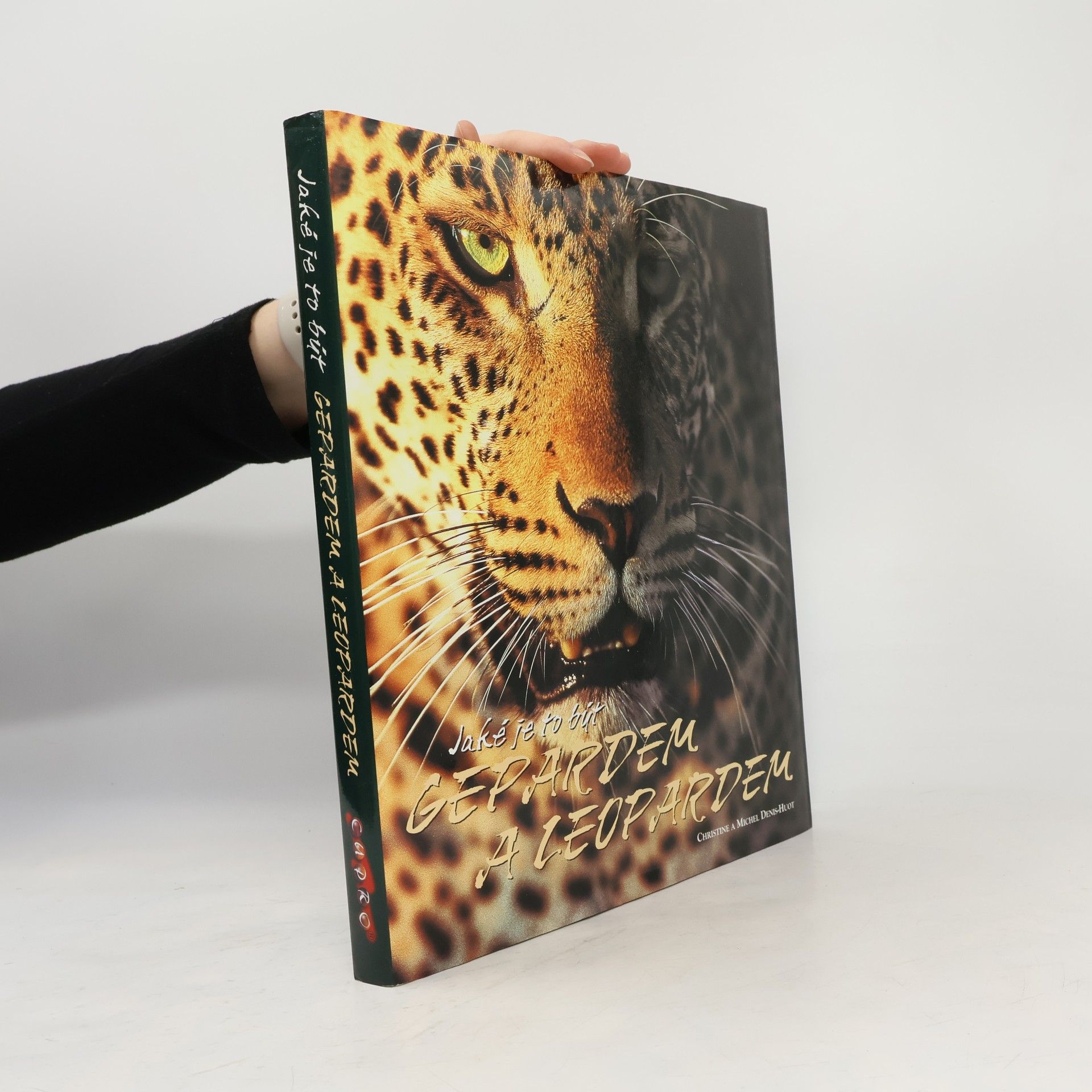 Jaké je to být gepardem a leopardem