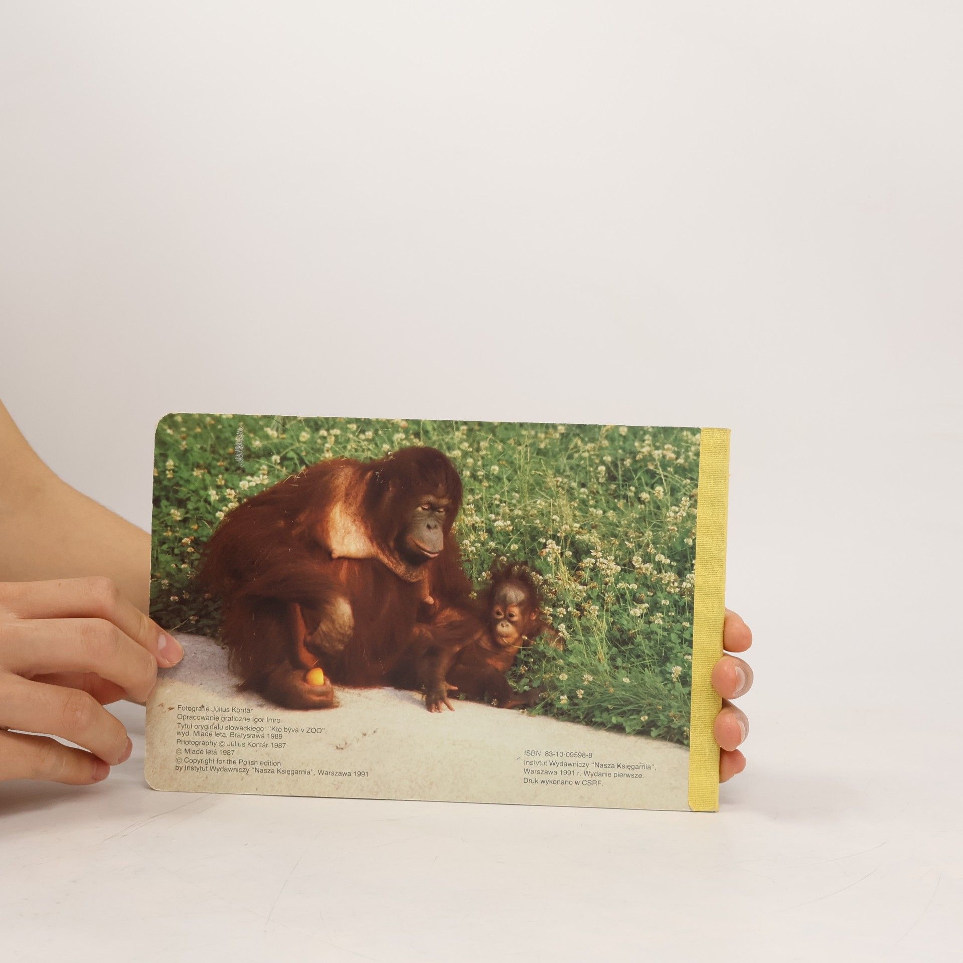 Julius Kontár Kto mieszka w ZOO