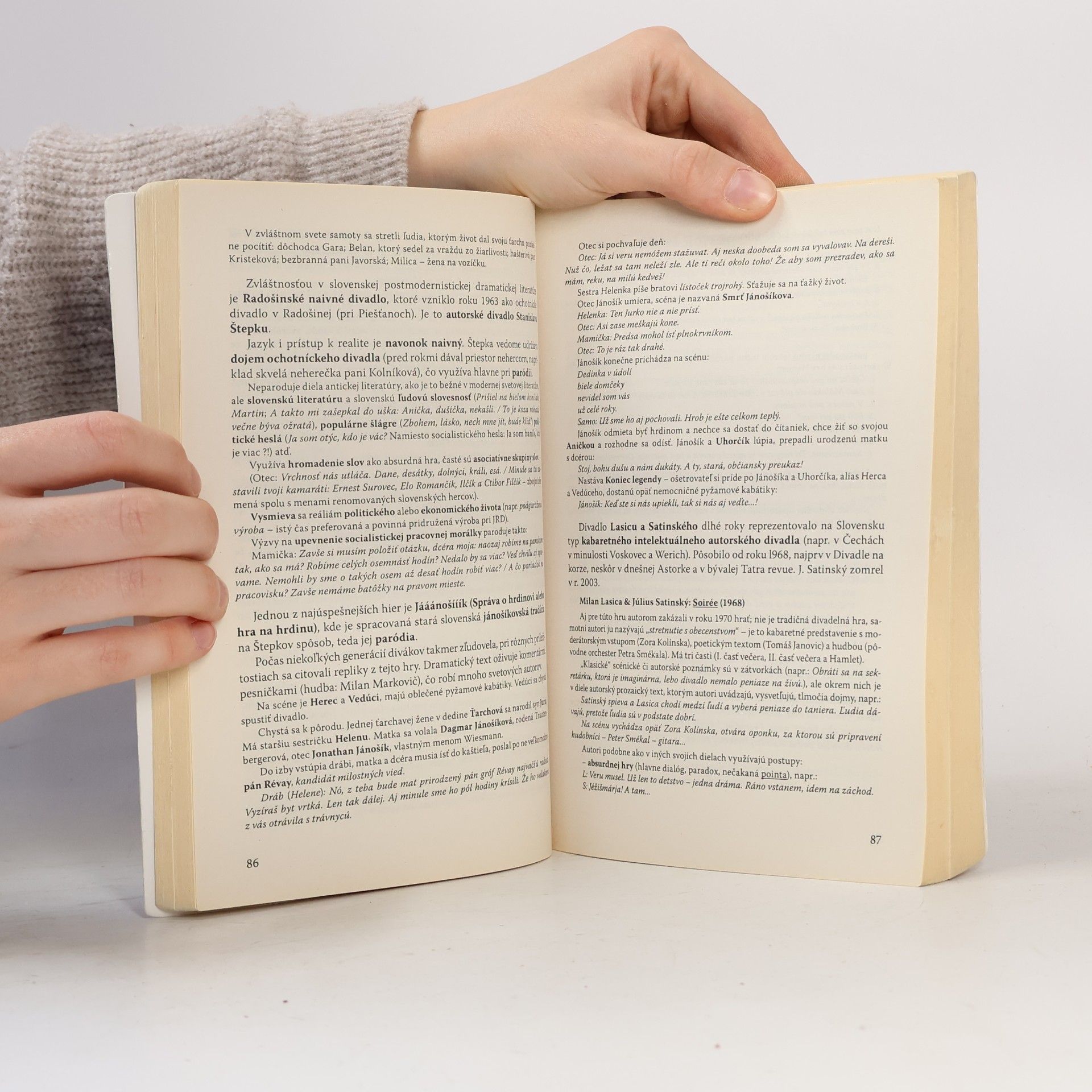 Milada Caltíková Slovenský jazyk a literatúra