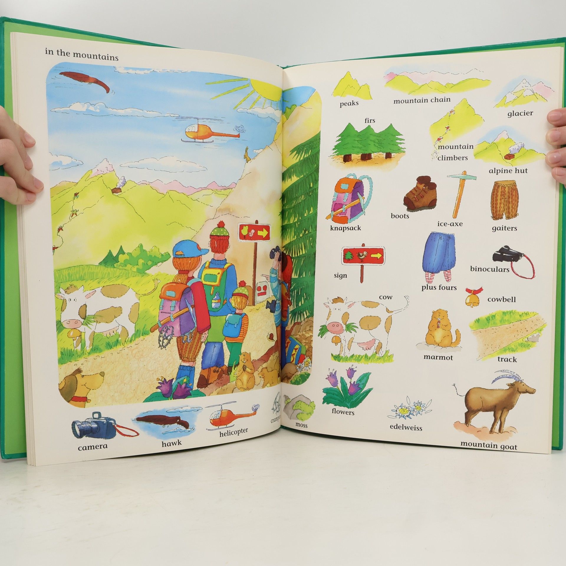 My First Thousand Words Picture Dictionary