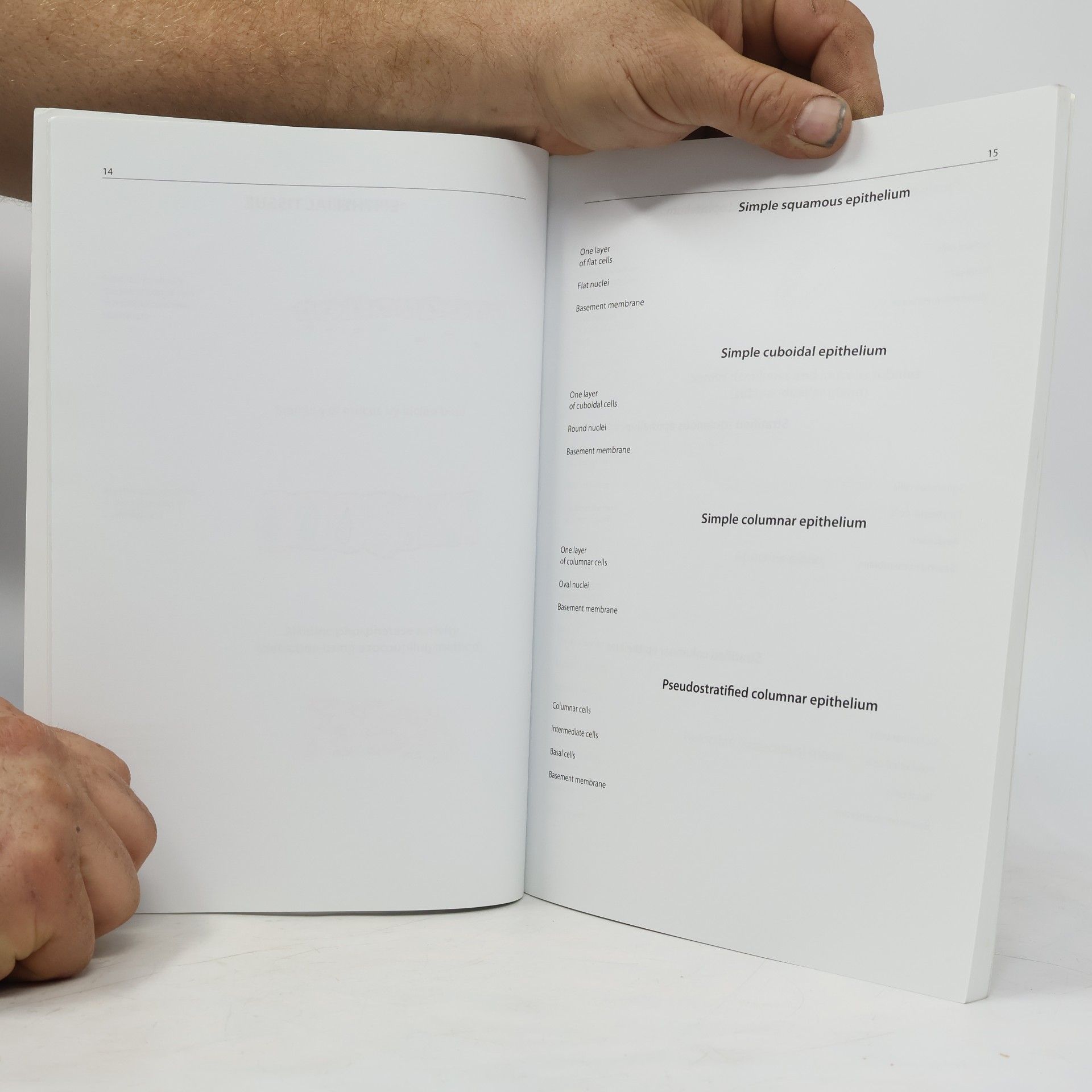 Marie Jirkovská Practical Lessons in Histology : Student's Book