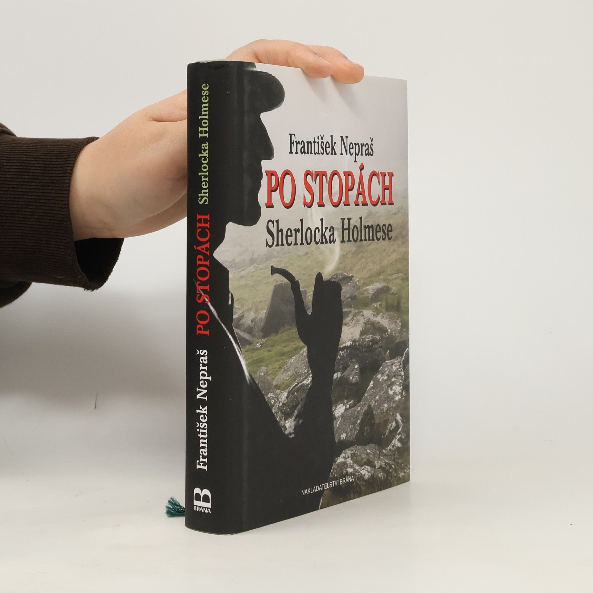 Po stopách Sherlocka Holmese: Dartmoorskými blaty za Psem baskervillským