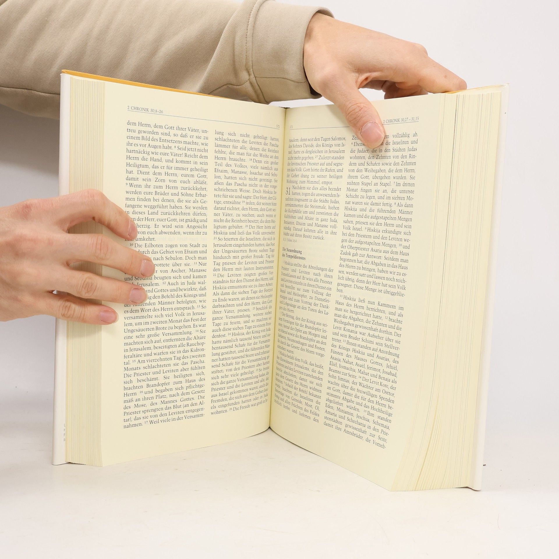 Bibelausgaben, Ikonenbibel