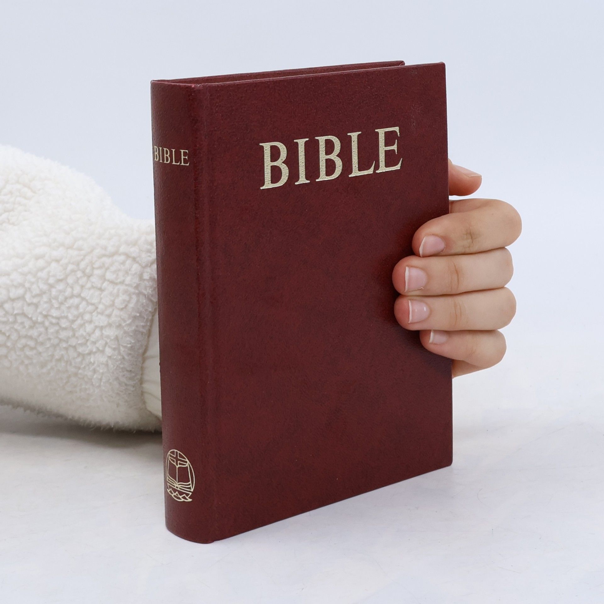 Collectif d'auteurs Bible - Písmo svaté Starého a Nového zákona