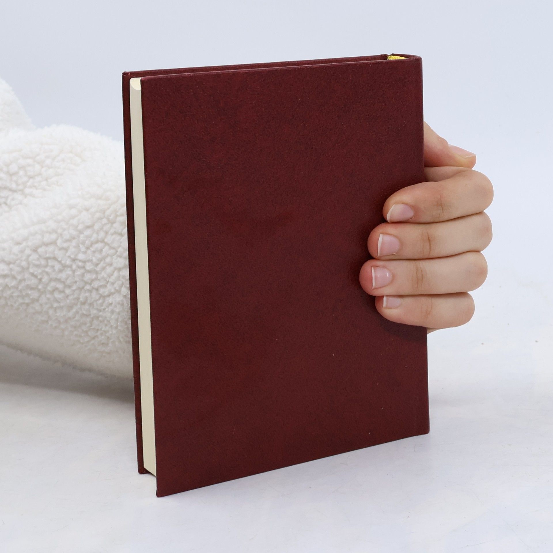 Collectif d'auteurs Bible - Písmo svaté Starého a Nového zákona