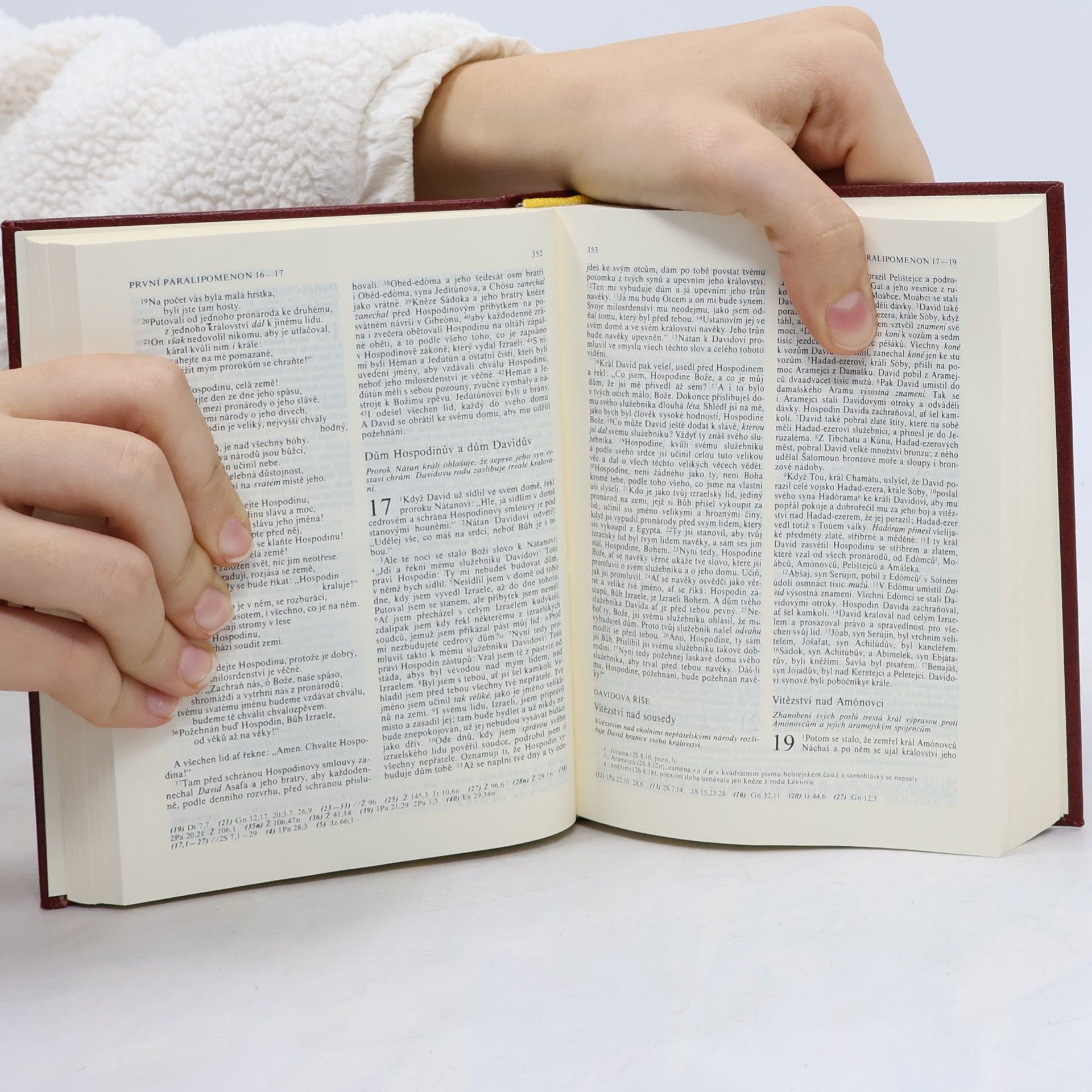 Collectif d'auteurs Bible - Písmo svaté Starého a Nového zákona