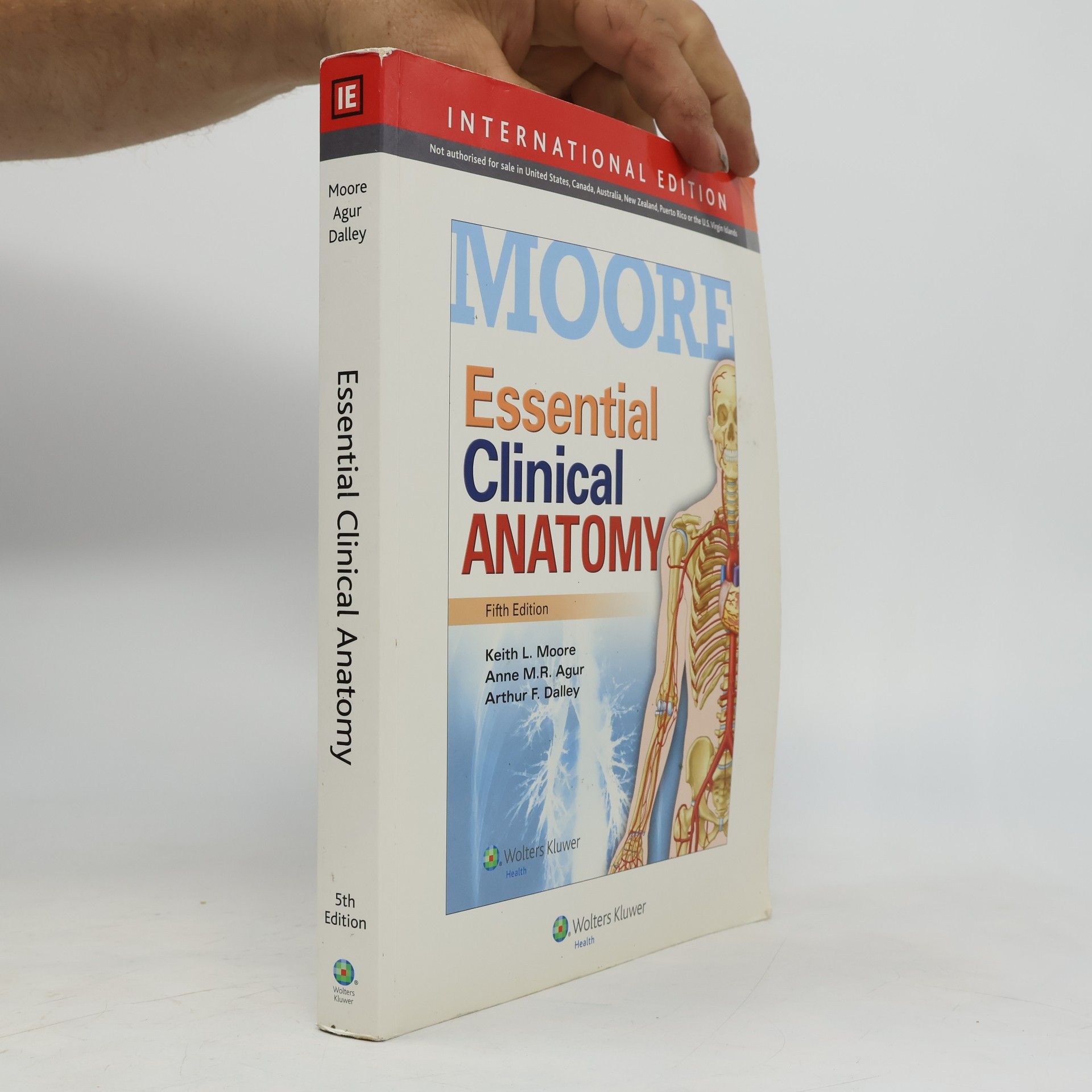 Essential Clinical Anatomy